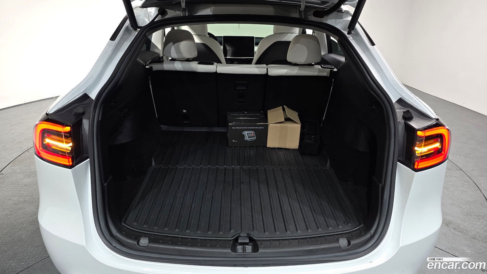 Main__Slider__Photo:Model Y Tesla 2021.5-19