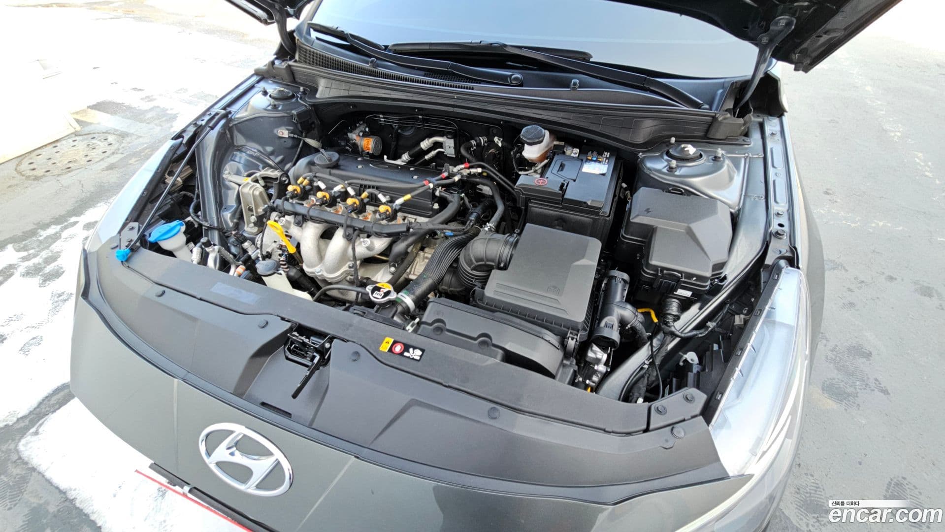 Main__Slider__Photo:AVANTE Hyundai 2022.0-5