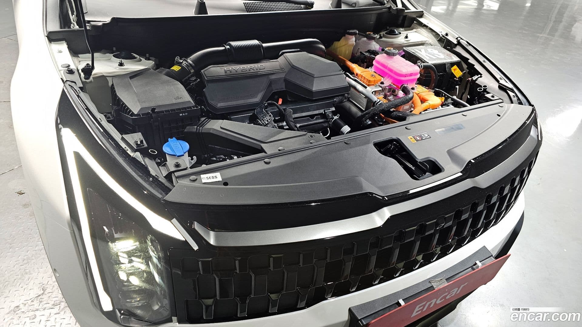 Main__Slider__Photo:Sportage Kia 2026.1-5