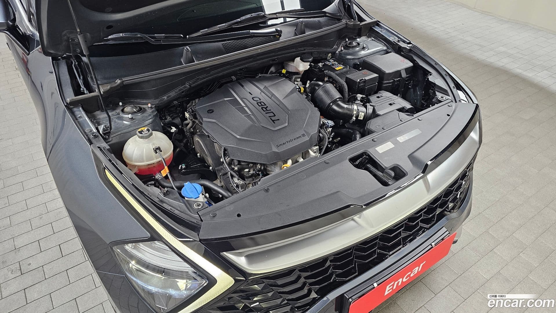 Main__Slider__Photo:Sportage Kia 2021.11-5