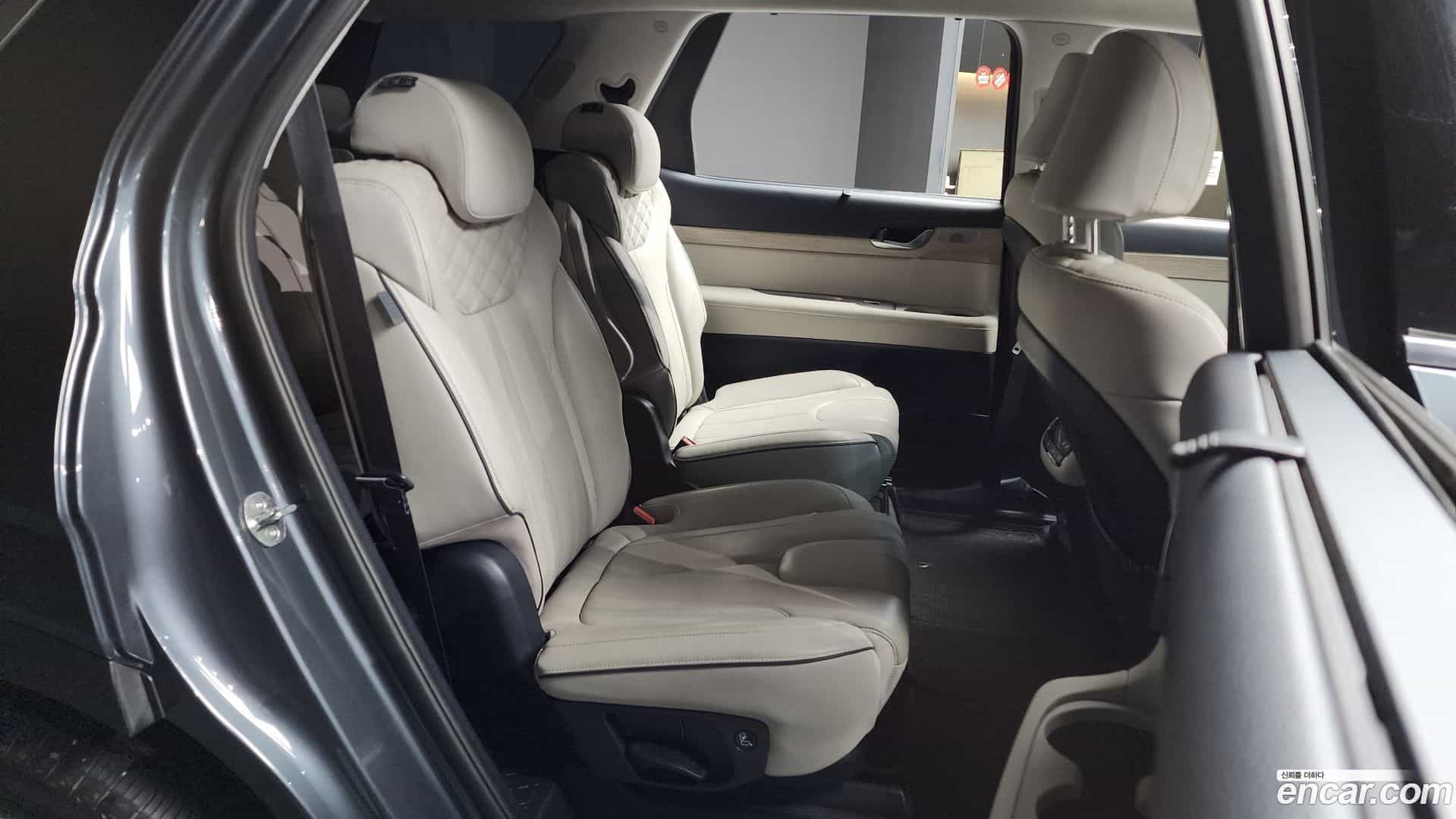 Palisade Hyundai 2020.6-OPTION-016