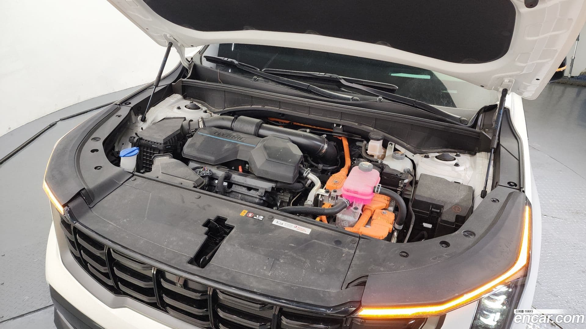 Main__Slider__Photo:Sorento Kia 2024.0-5