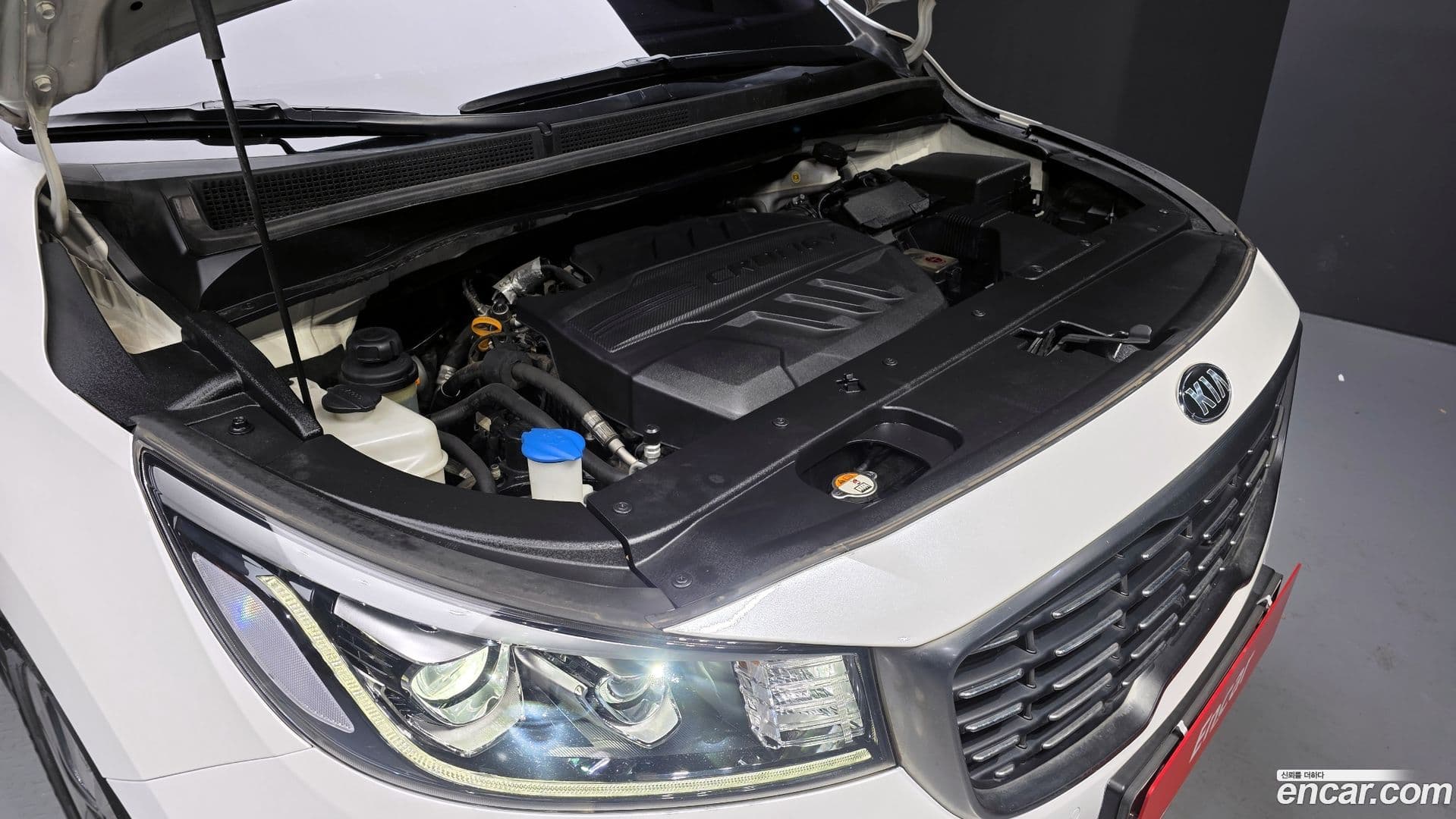 Main__Slider__Photo:Canival Kia 2018.3-5