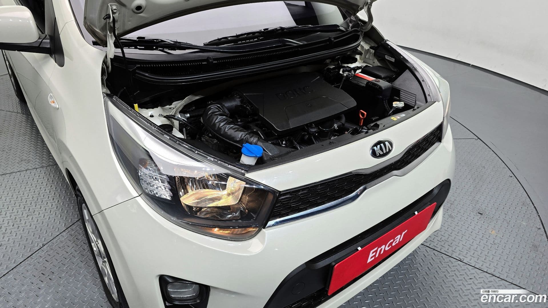 Main__Slider__Photo:morning Kia 2019.5-5