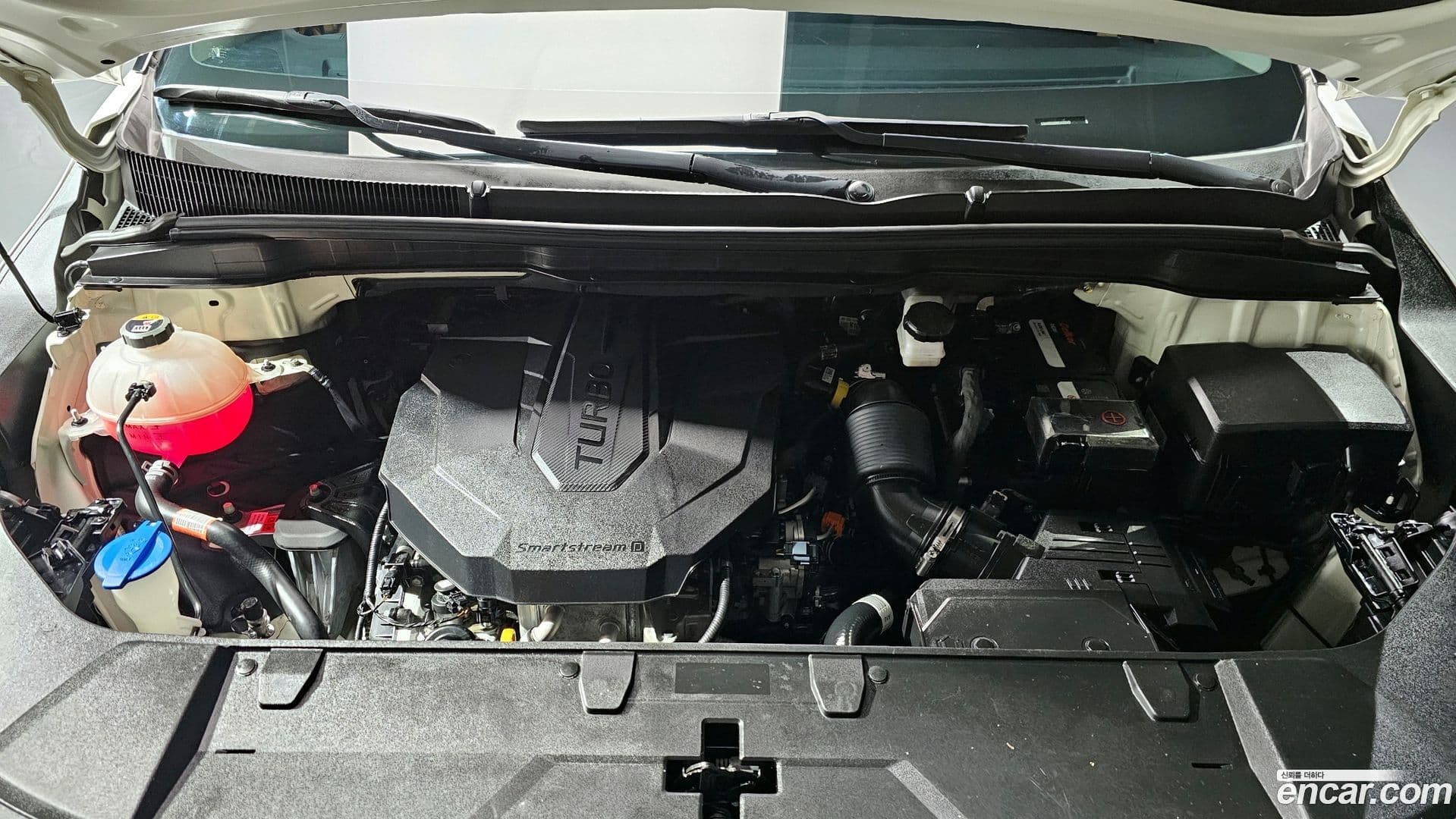 Main__Slider__Photo:Canival Kia 2020.10-5