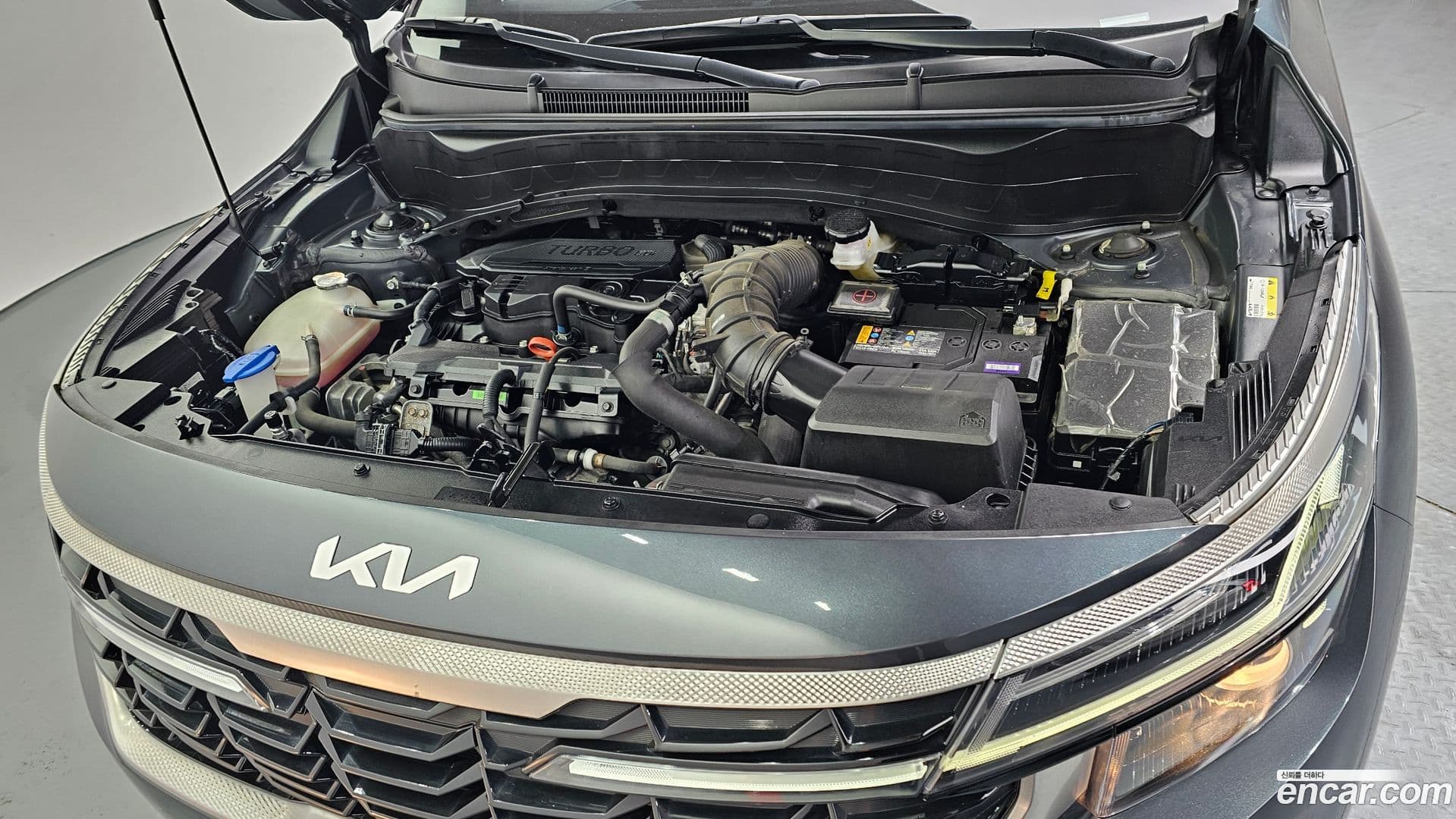 Main__Slider__Photo:Seltos Kia 2023.0-5