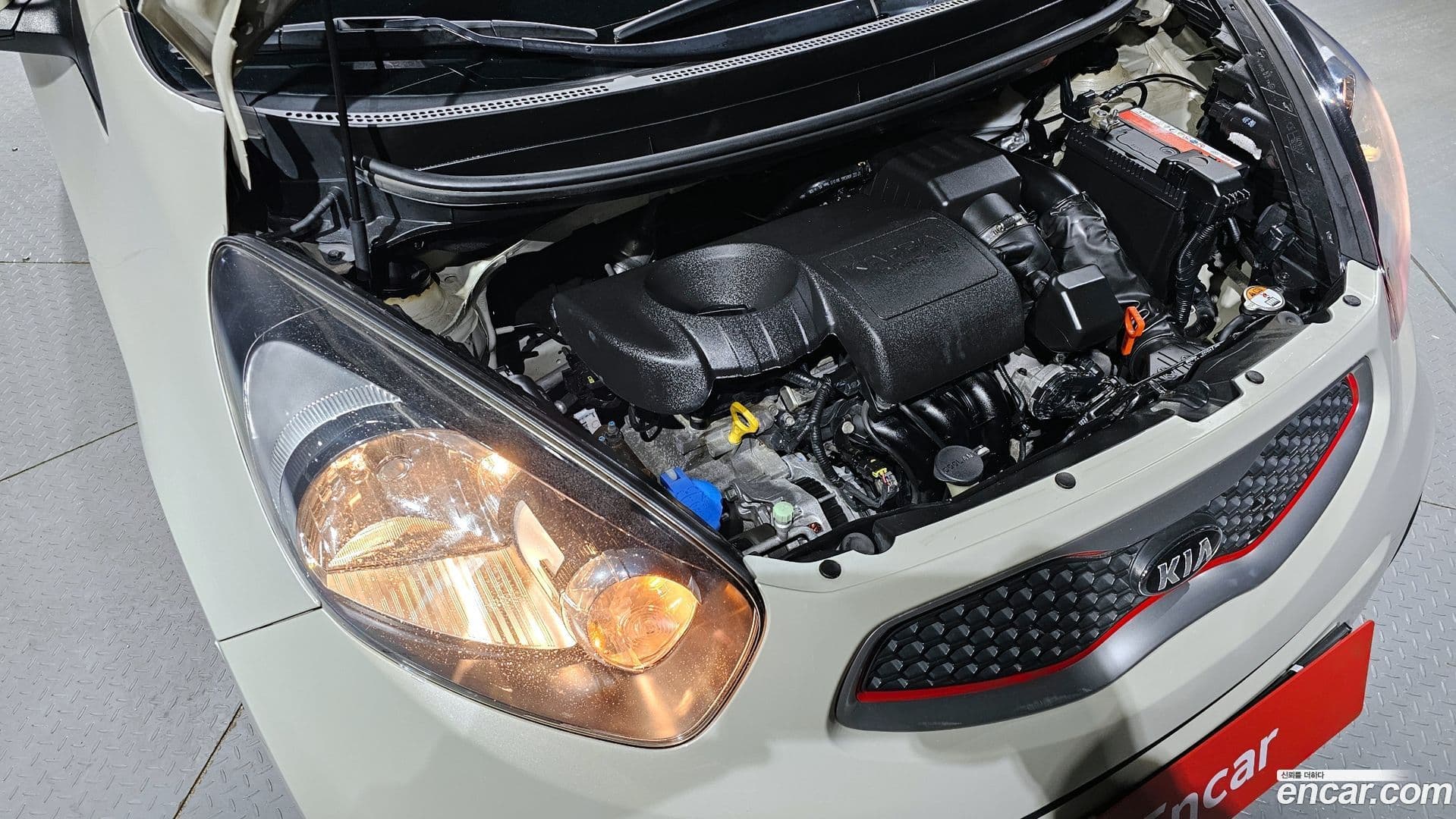 Main__Slider__Photo:morning Kia 2014.2-5