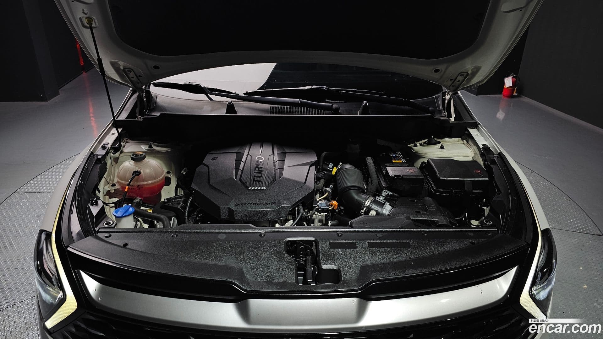 Main__Slider__Photo:Sportage Kia 2021.11-5