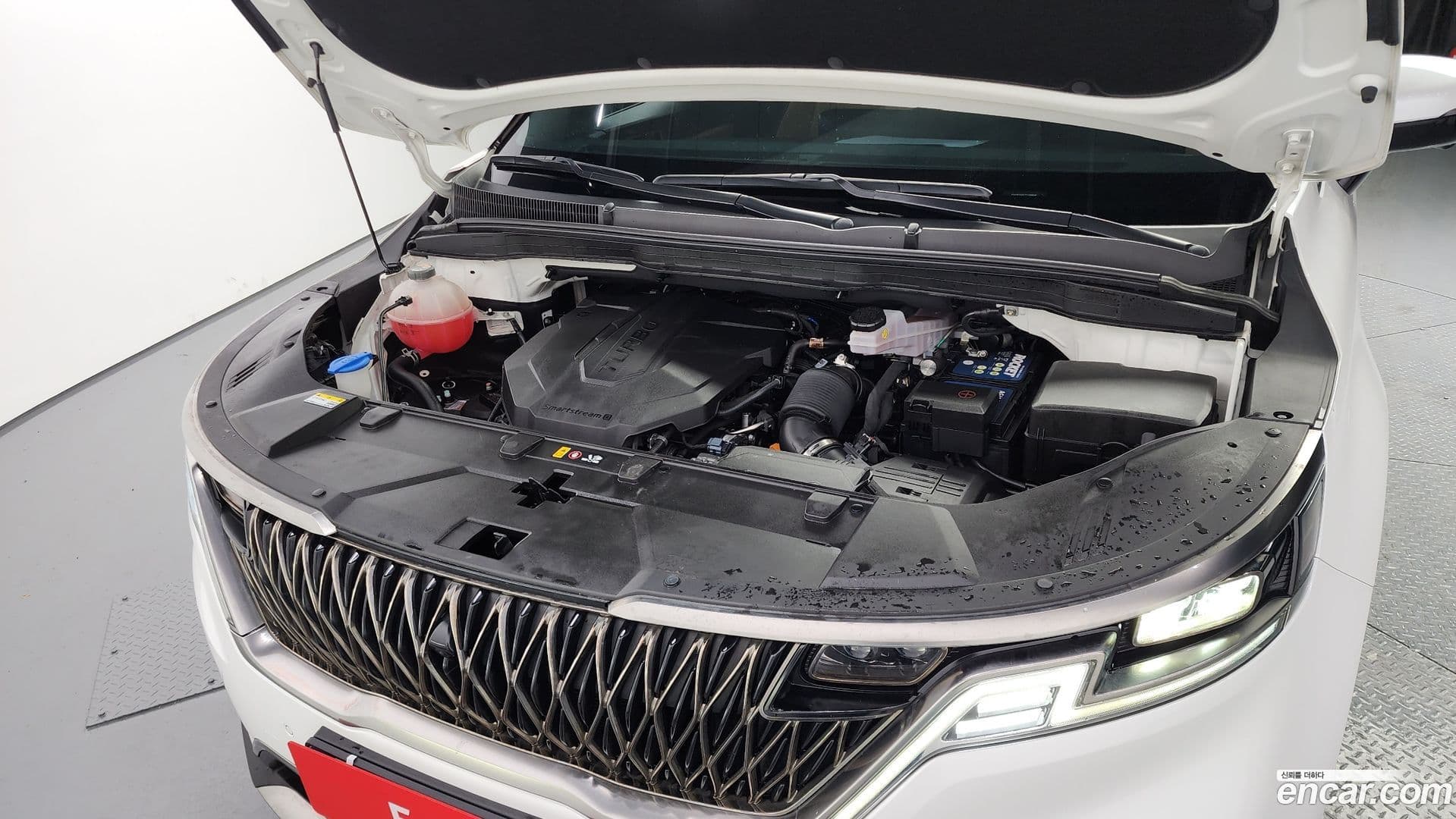 Main__Slider__Photo:Canival Kia 2023.1-5