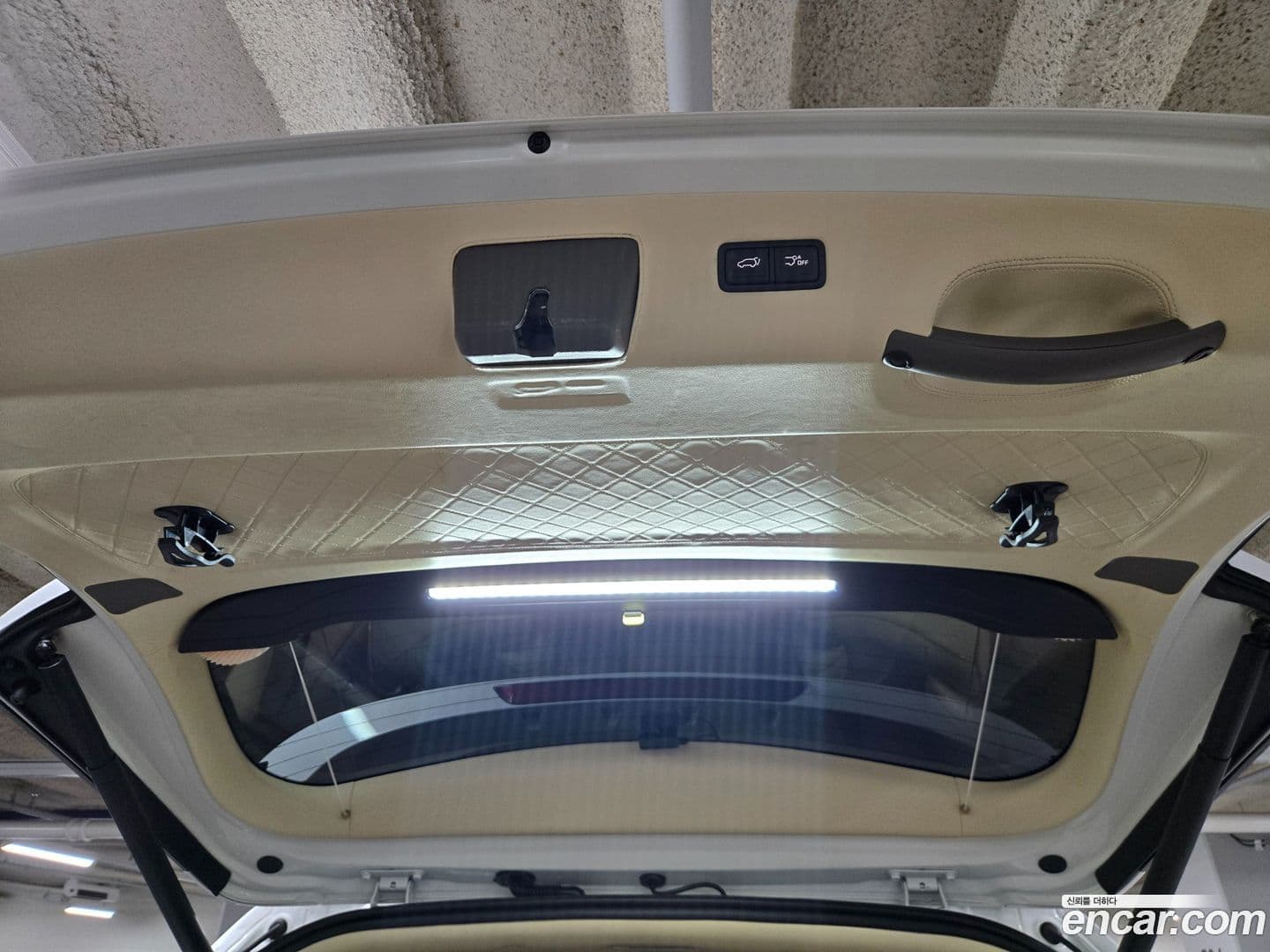 Main__Slider__Photo:Canival Kia 2020.11-7