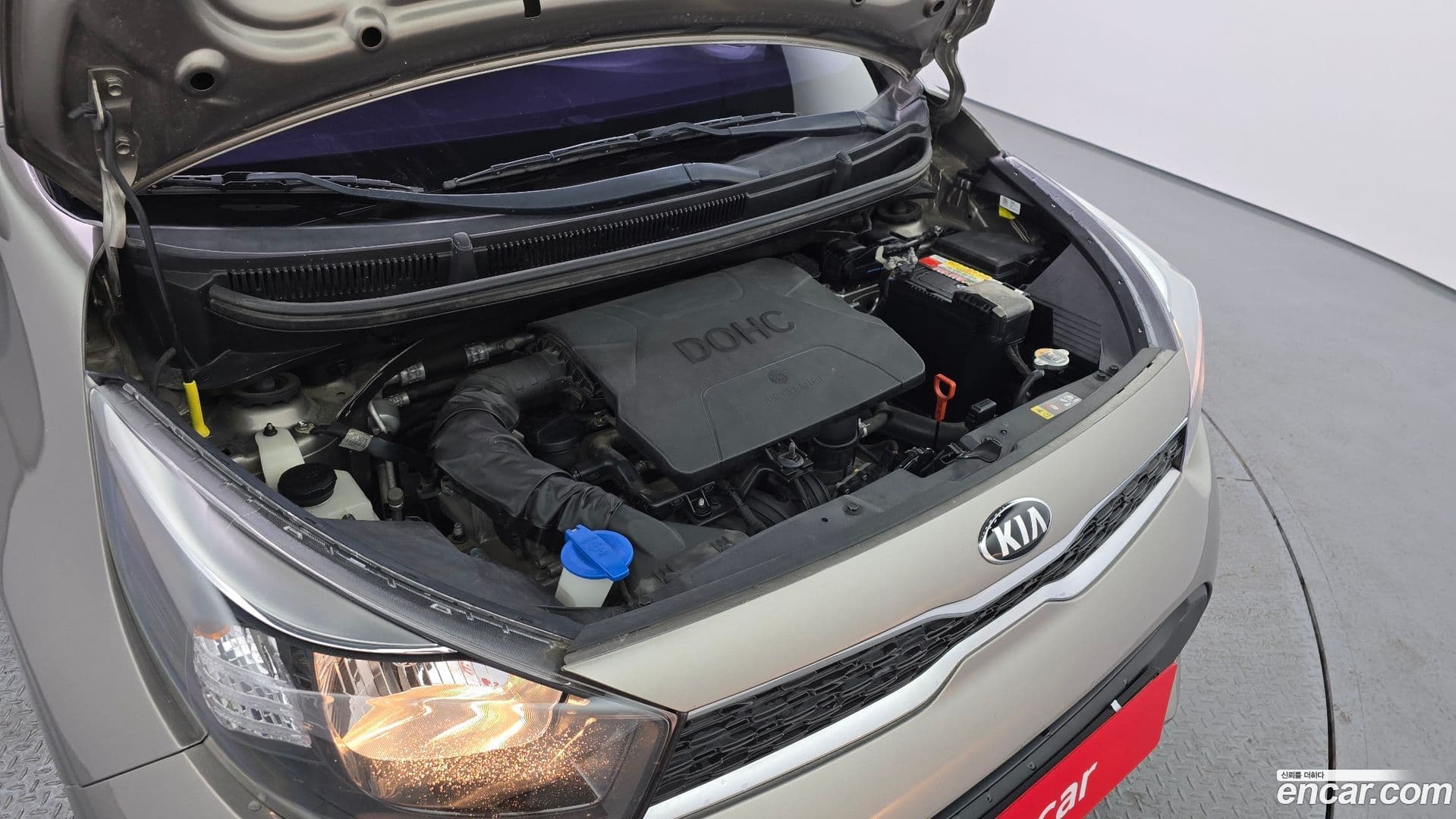 Main__Slider__Photo:morning Kia 2017.7-5