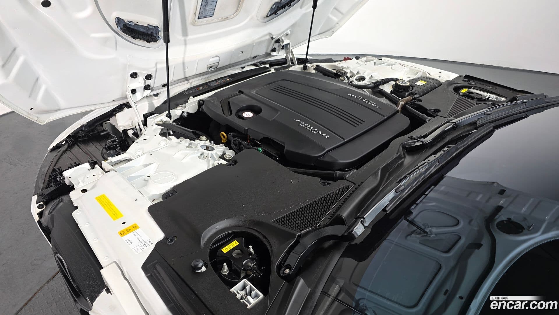 Main__Slider__Photo:F-TYPE Jaguar 2021.3-5