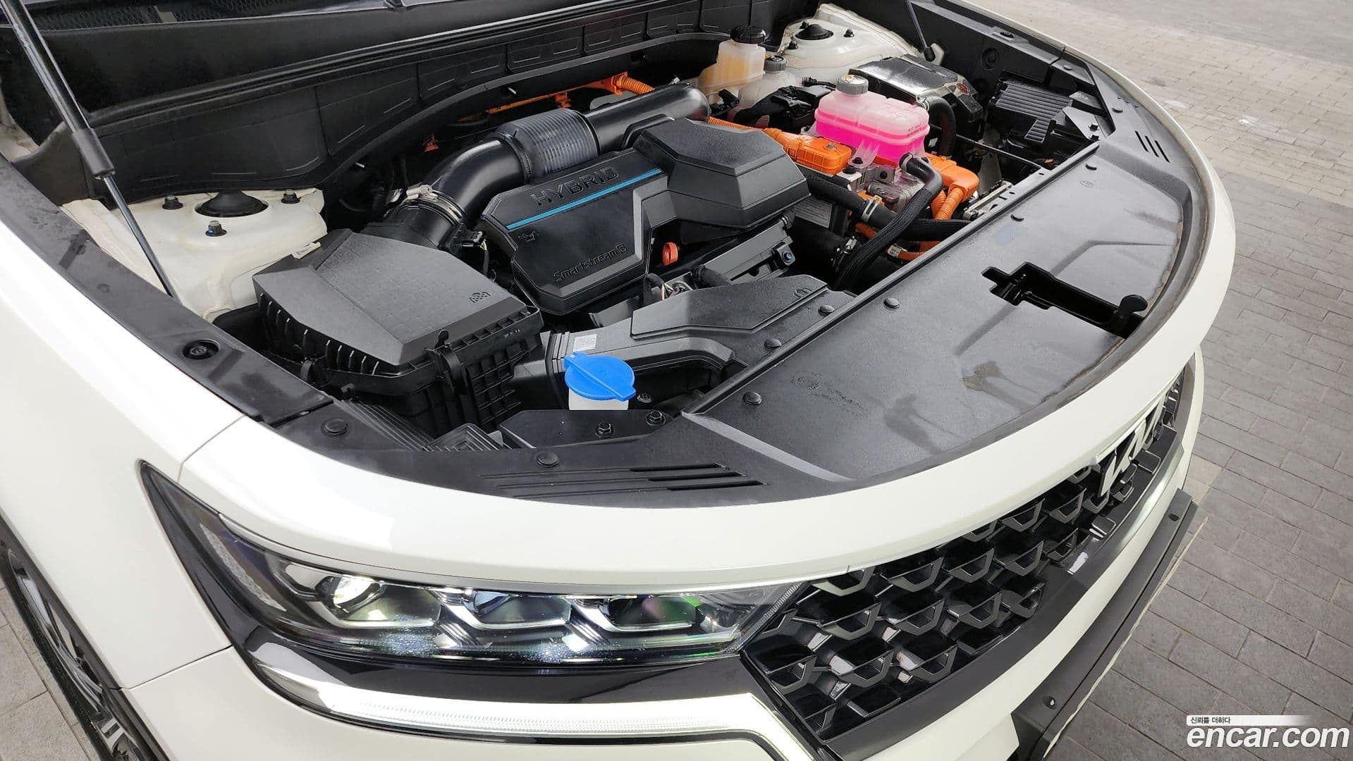 Main__Slider__Photo:Sorento Kia 2022.7-5