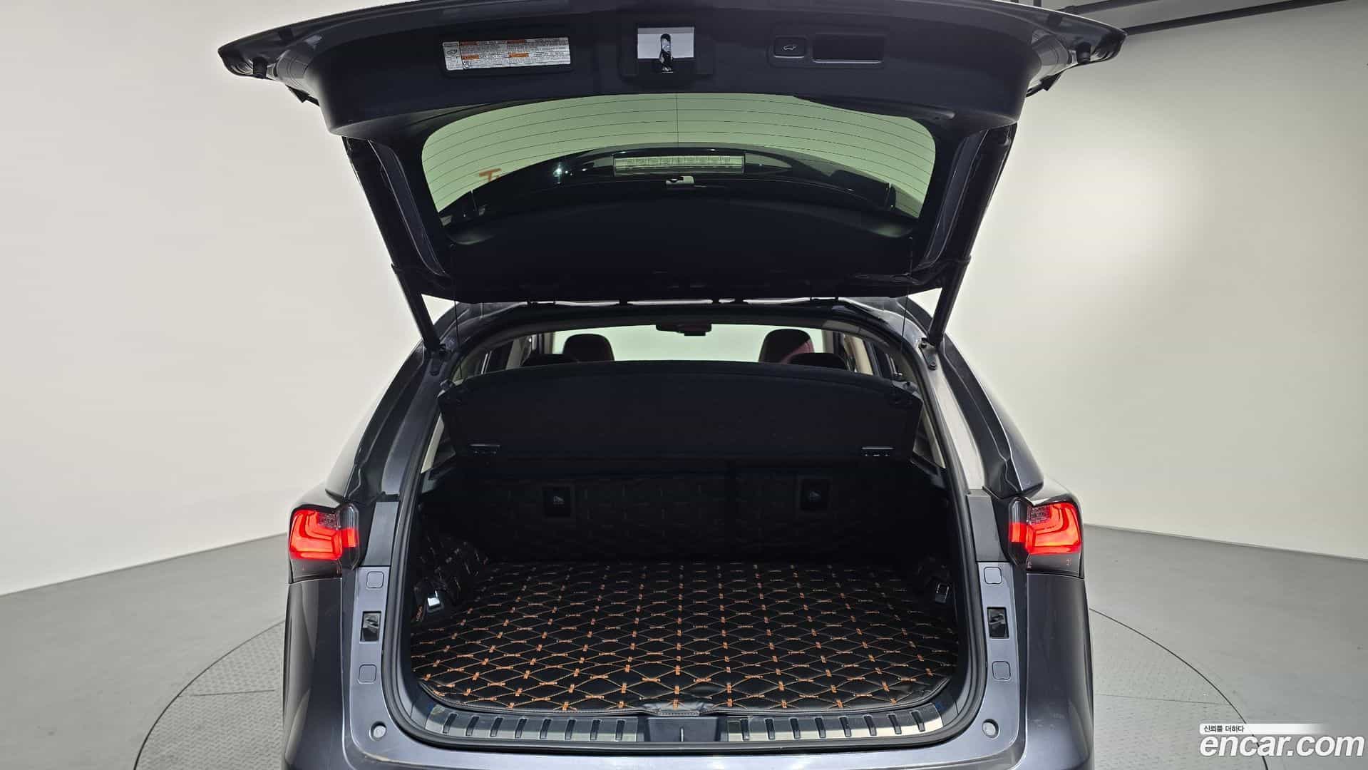 NX Lexus 2017.6-OPTION-024