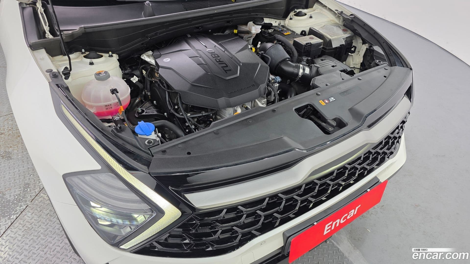 Main__Slider__Photo:Sportage Kia 2022.11-5