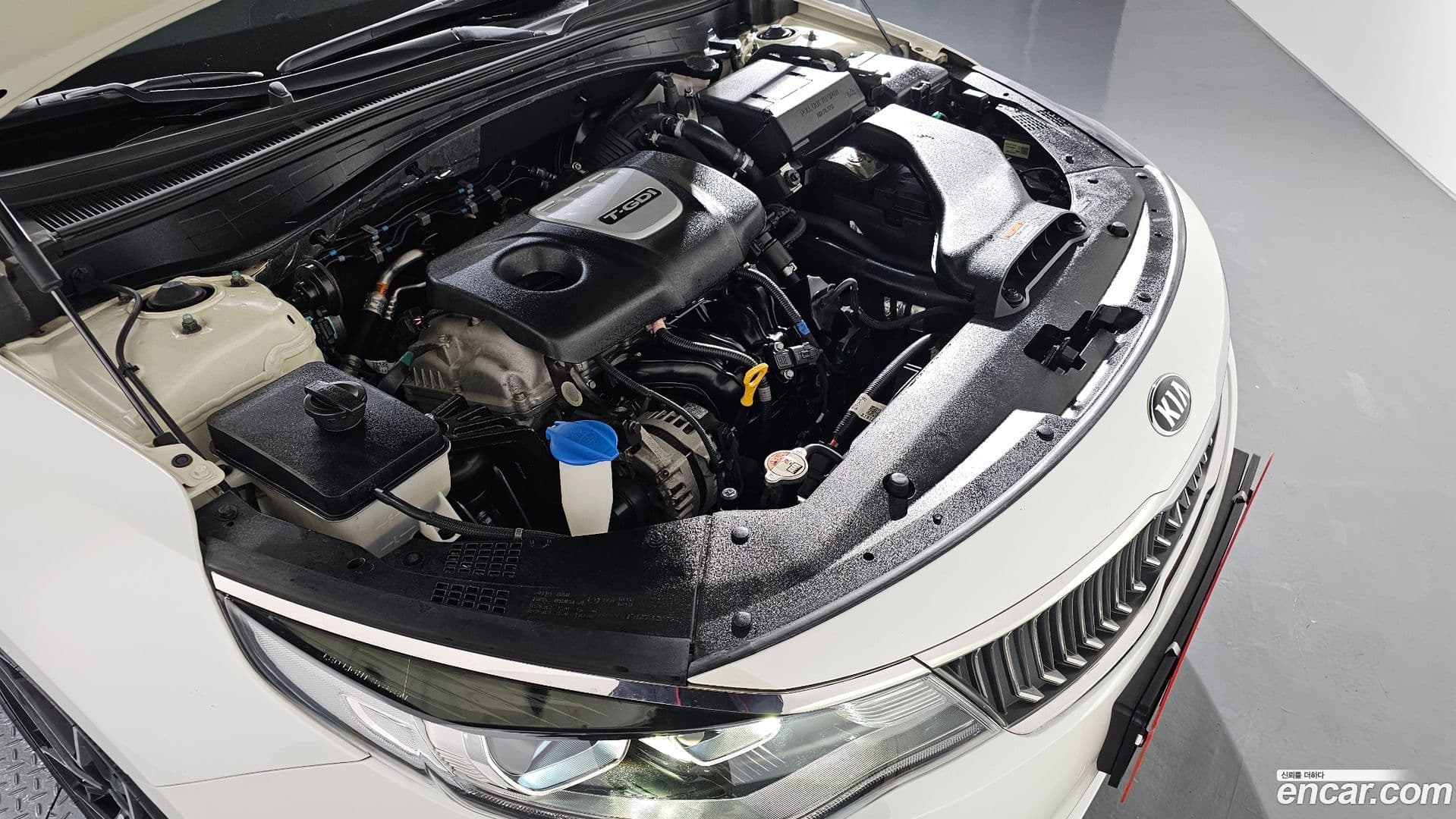 Main__Slider__Photo:K5 Kia 2019.6-5