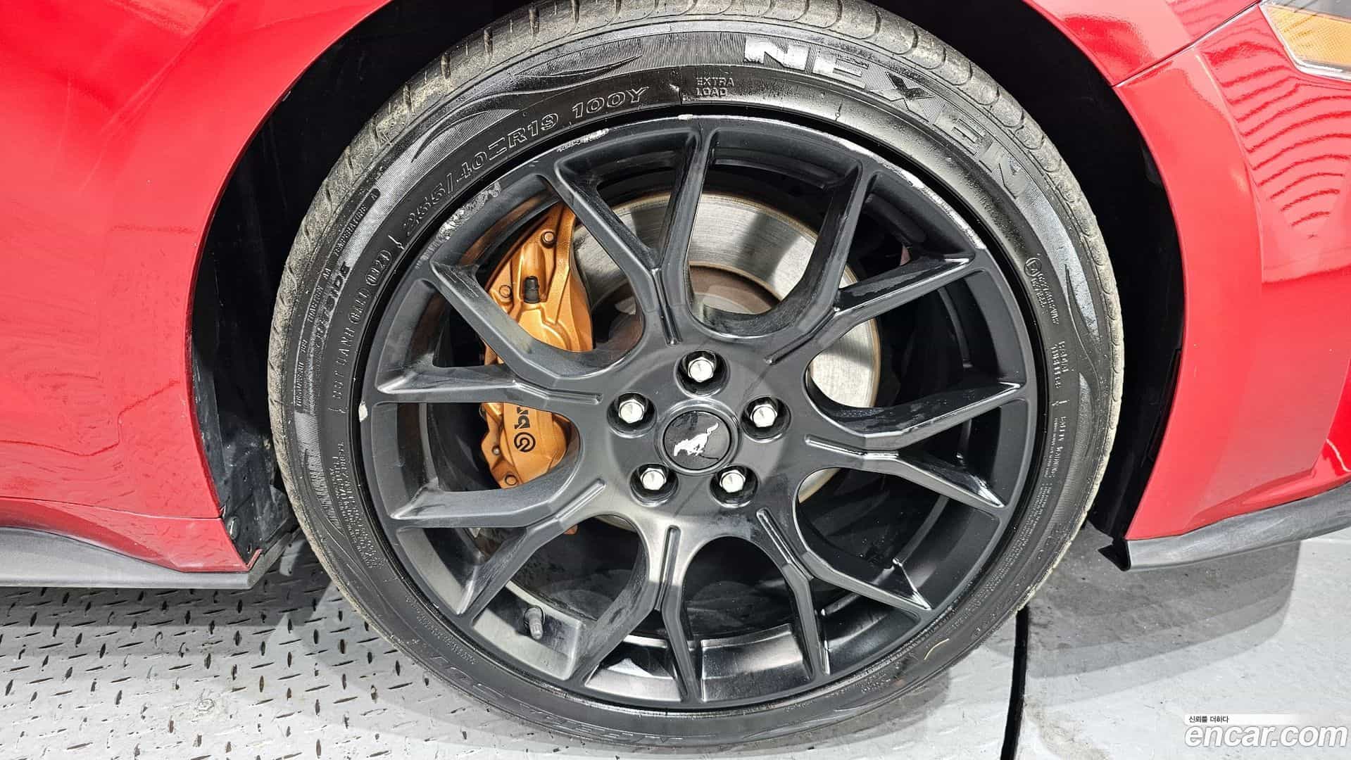 Mustang Ford 2020.6-OUTER-005