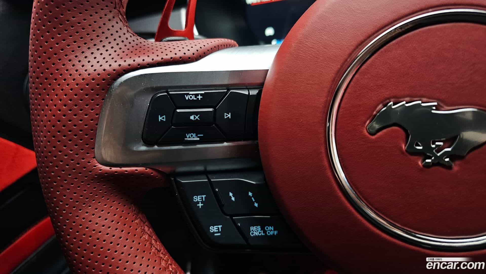 Mustang Ford 2020.6-OPTION-023