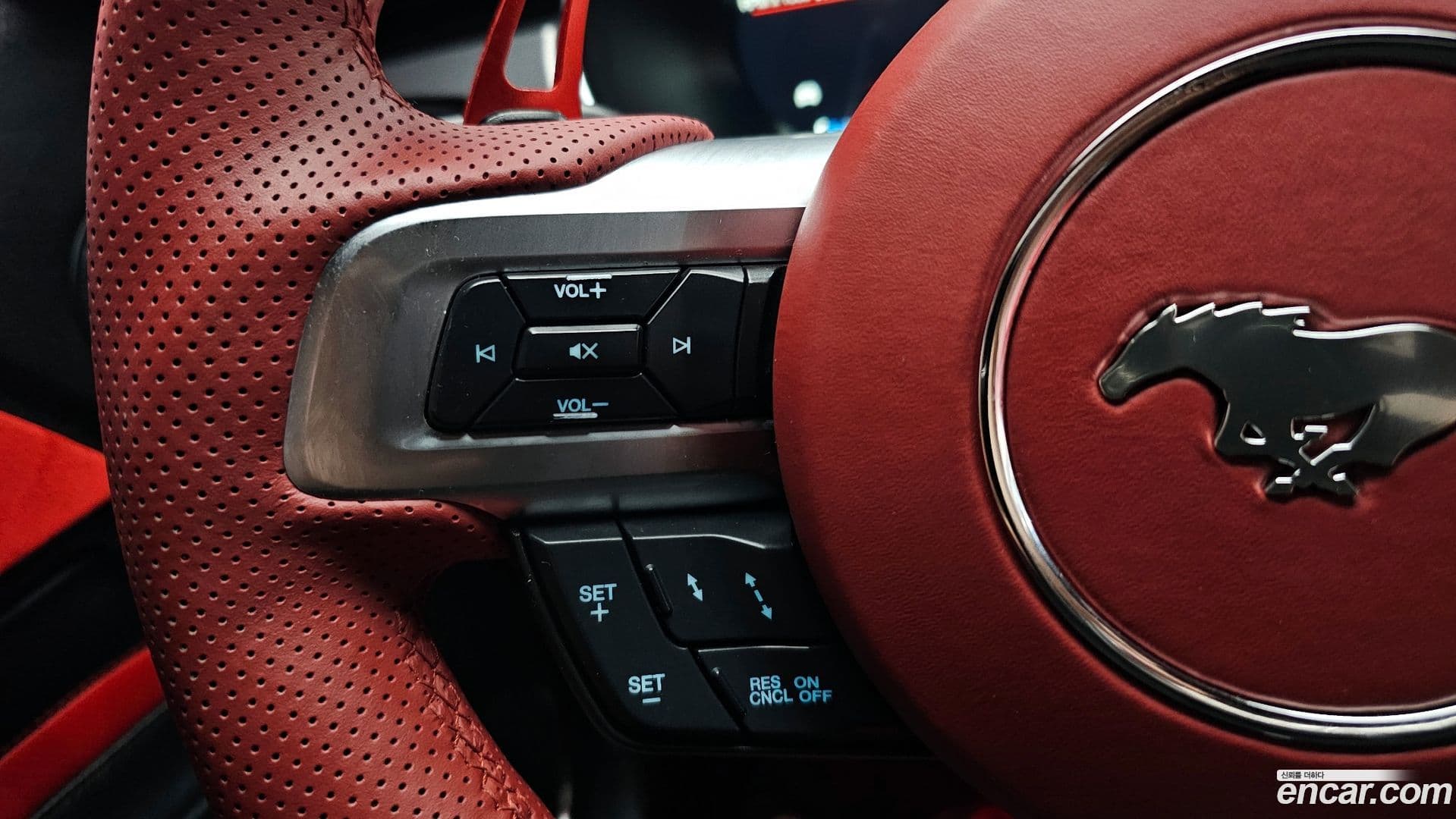 Main__Slider__Photo:Mustang Ford 2020.6-18