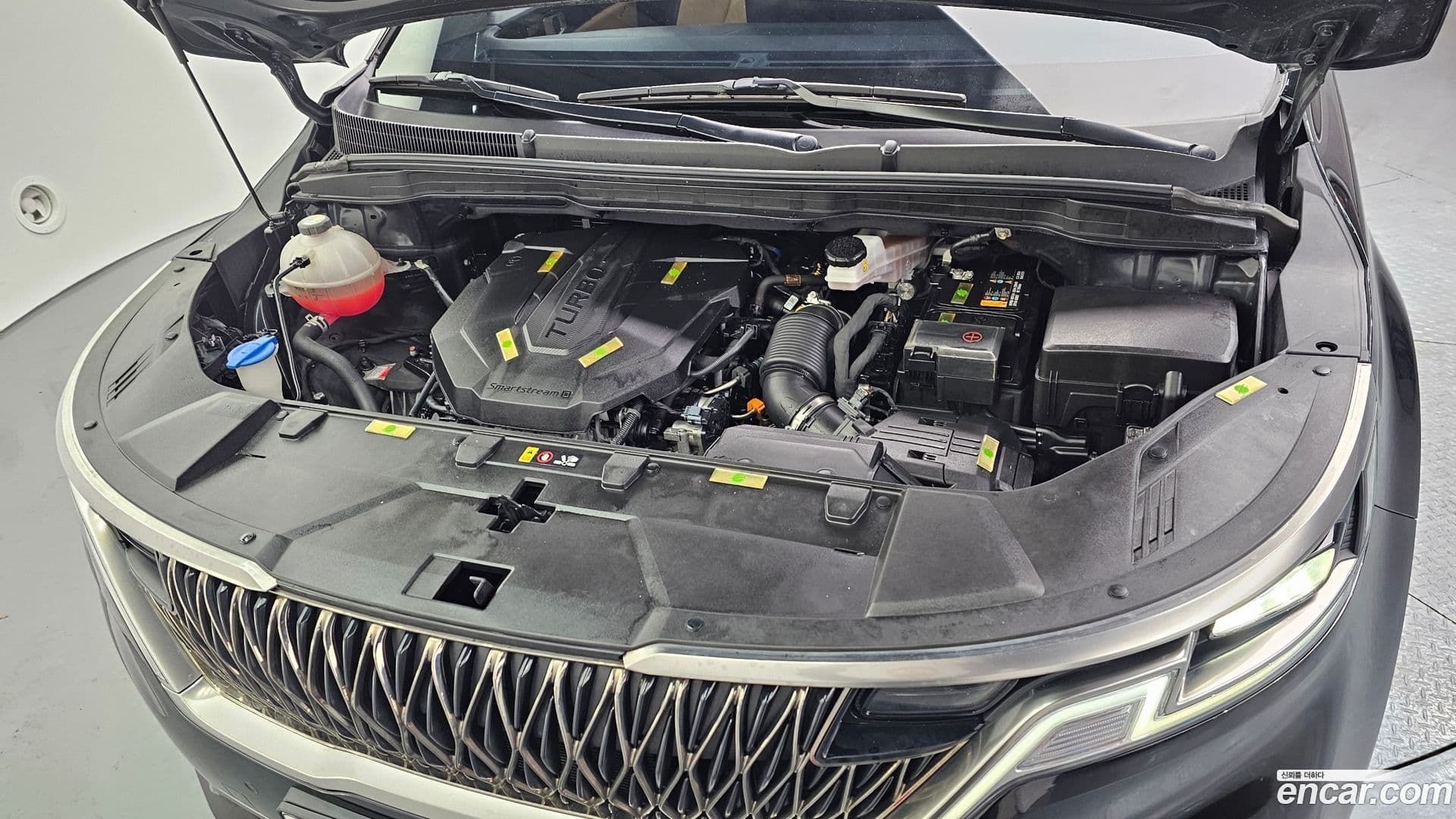 Main__Slider__Photo:Canival Kia 2023.10-5