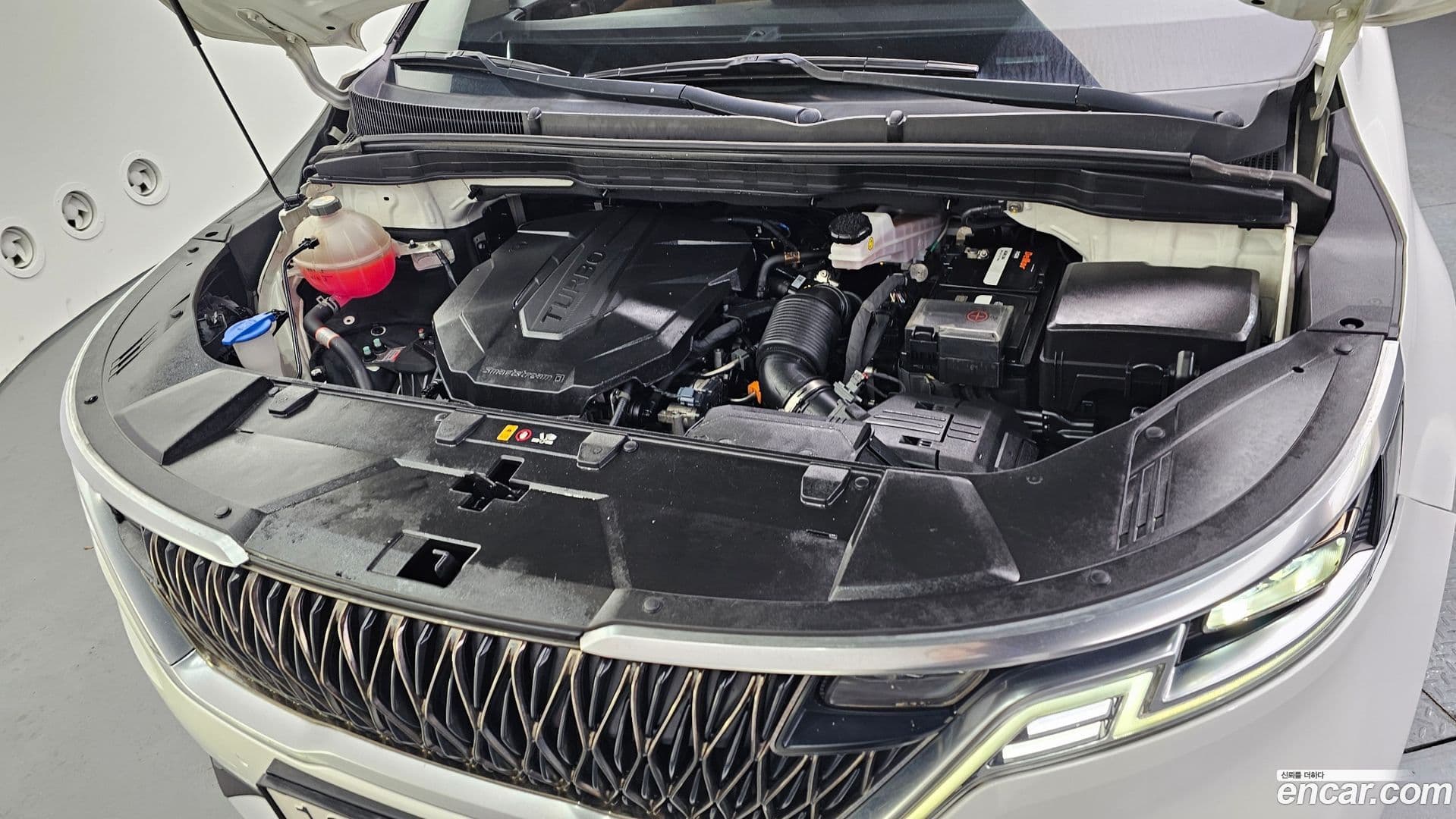 Main__Slider__Photo:Canival Kia 2021.6-5