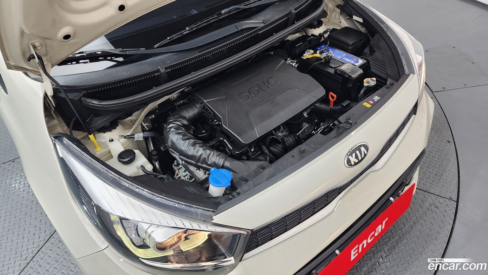 Main__Slider__Photo:morning Kia 2019.7-5