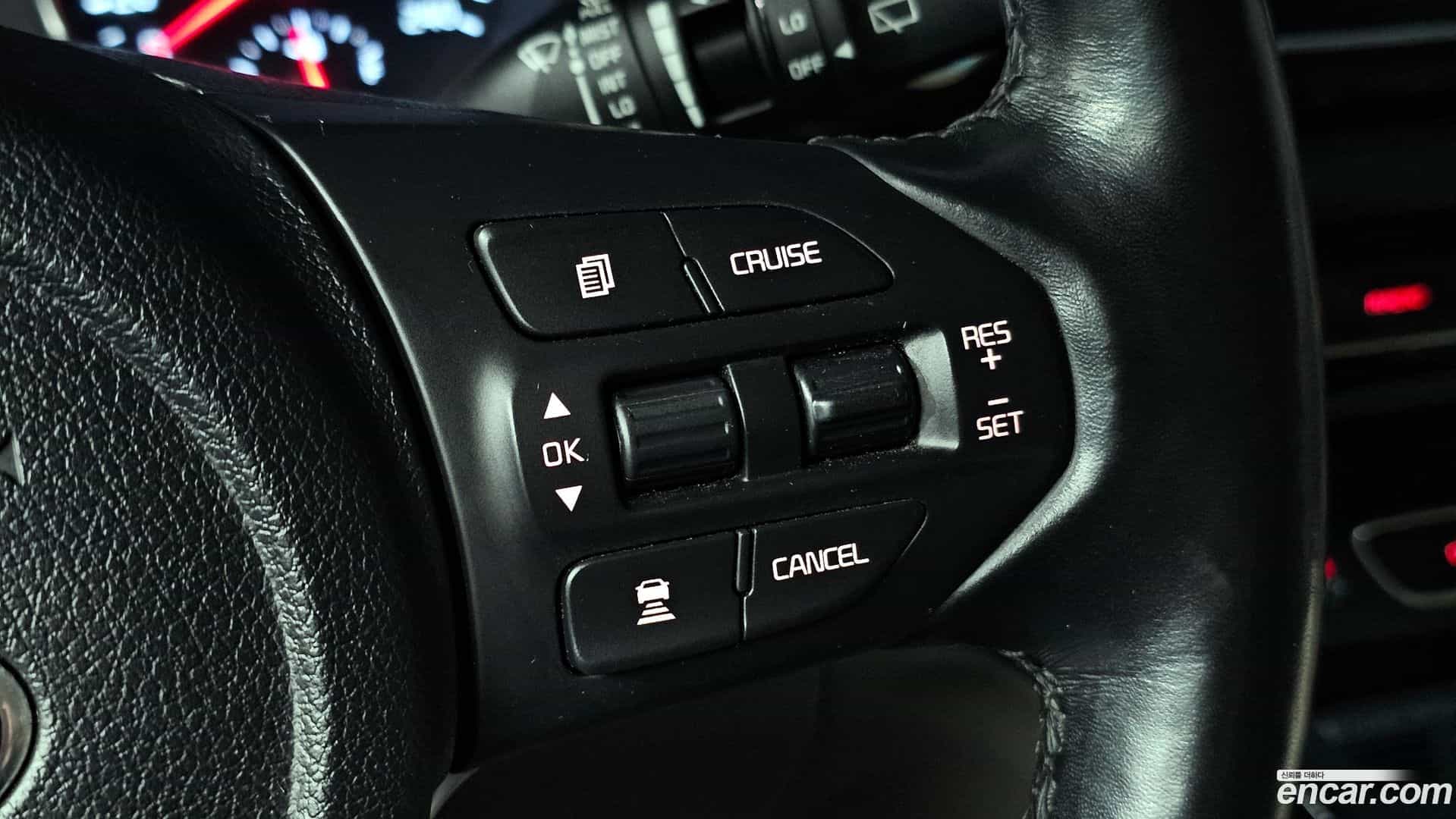 Canival Kia 2018.6-OPTION-018