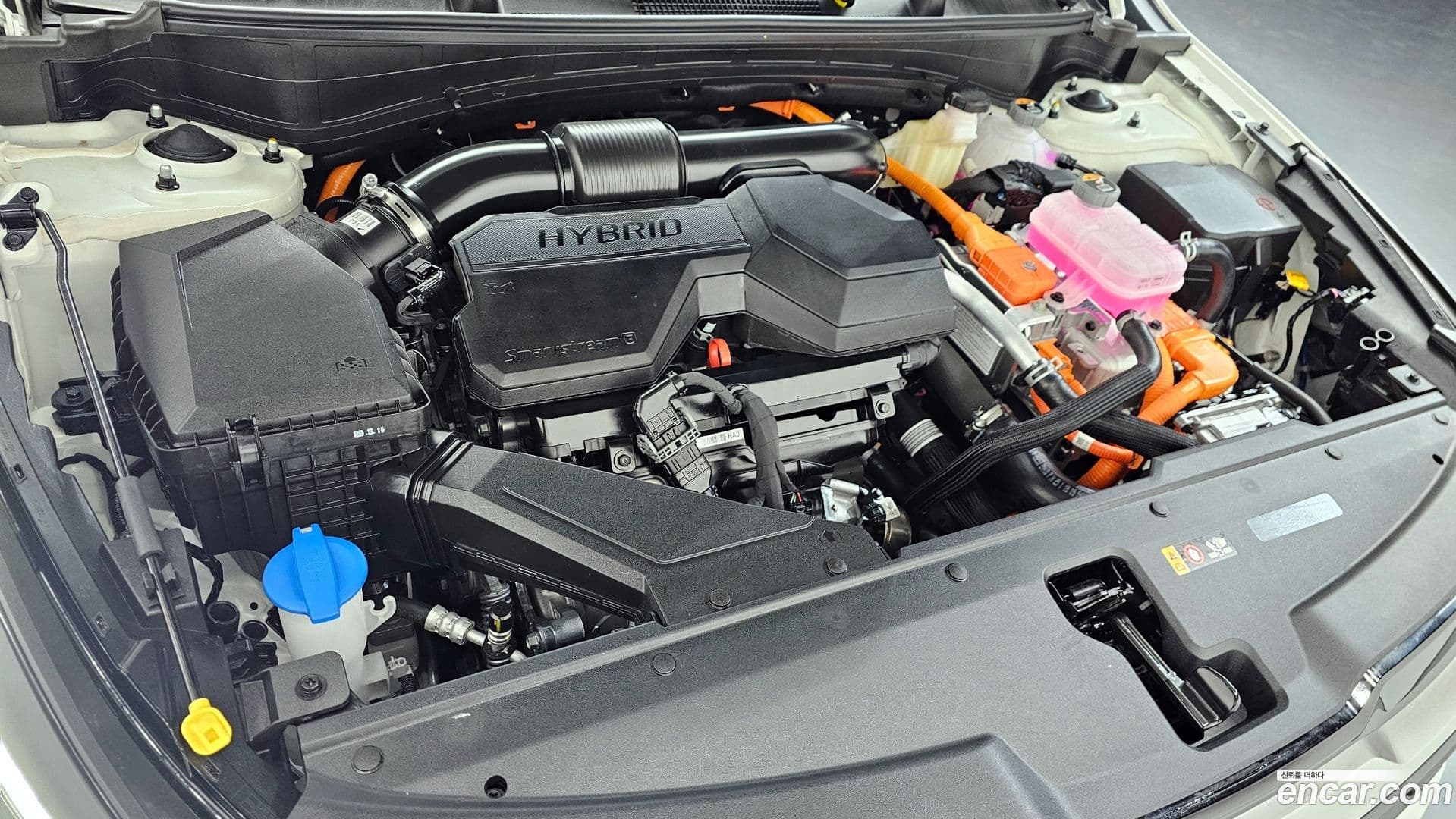 Main__Slider__Photo:Sportage Kia 2025.9-5