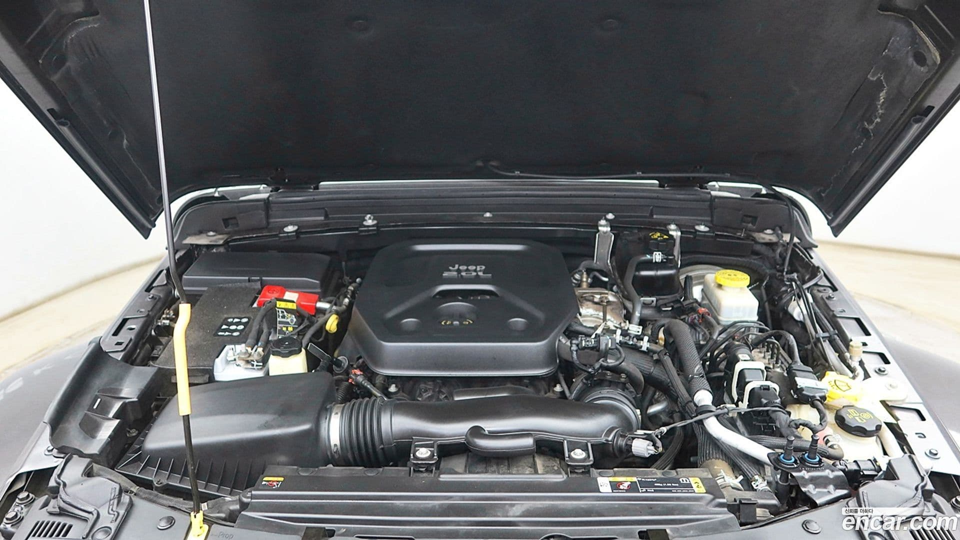 Main__Slider__Photo:Wrangler Jeep 2021.1-8