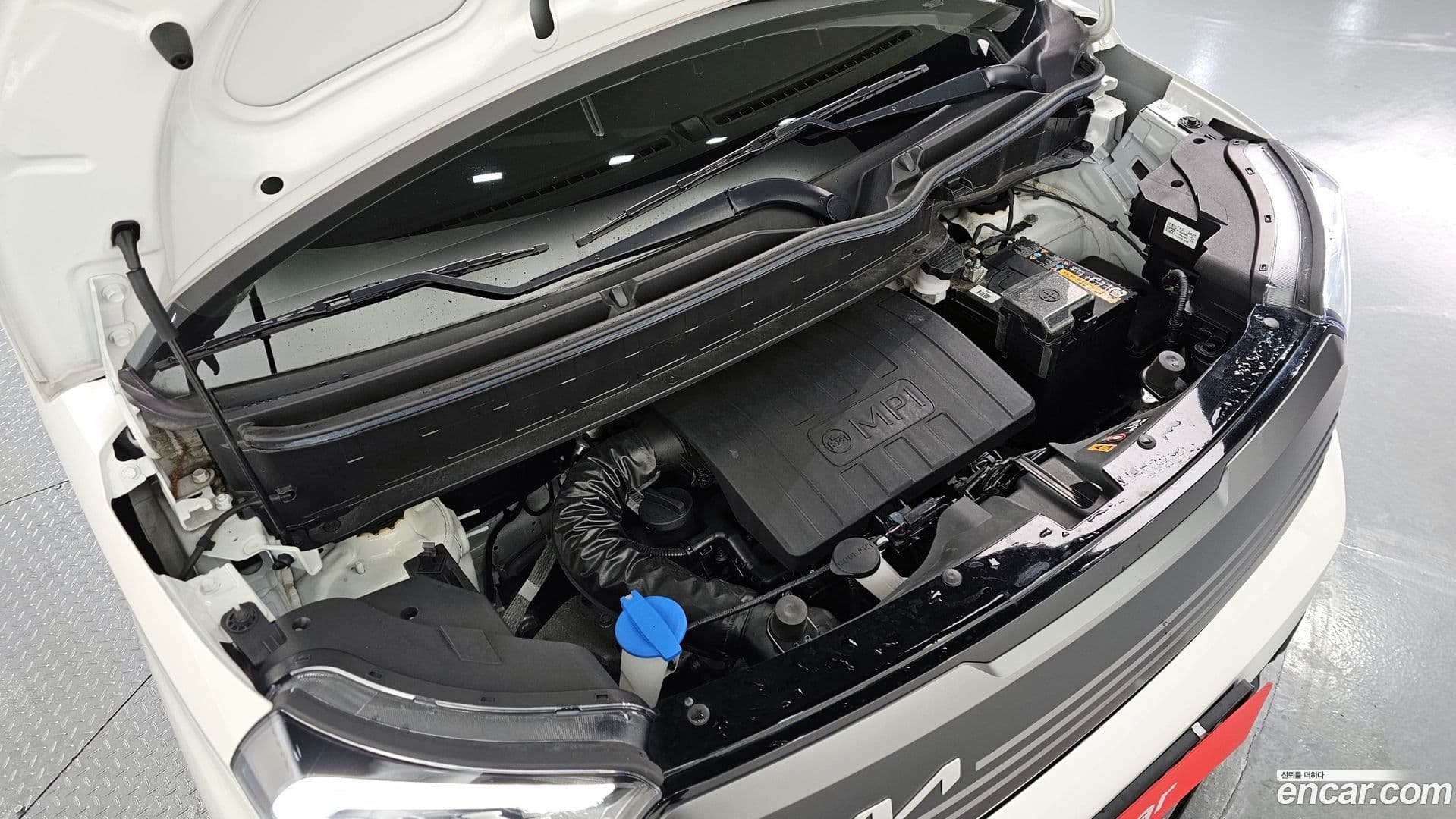 Main__Slider__Photo:RAY Kia 2023.10-5