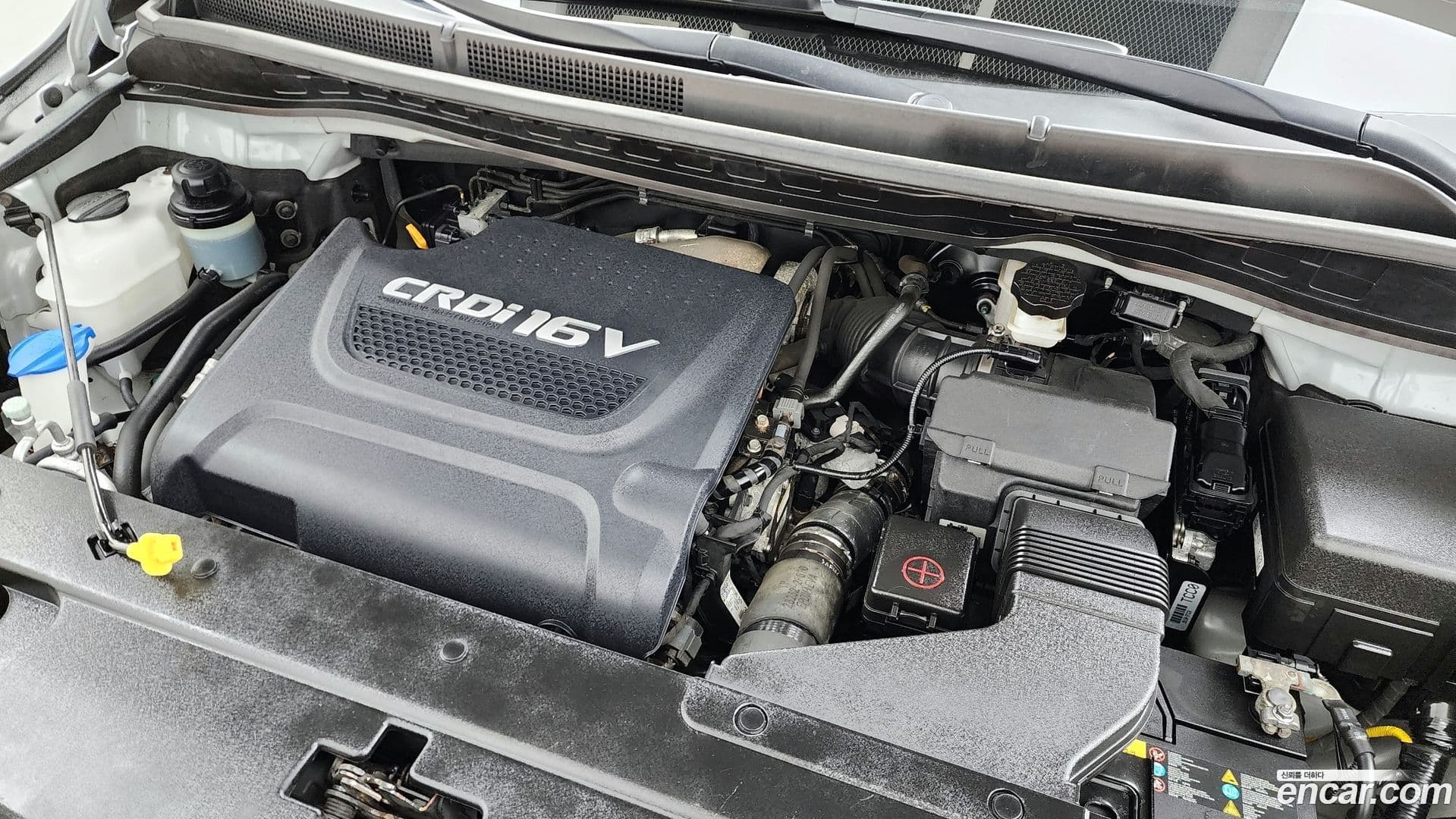 Main__Slider__Photo:Canival Kia 2015.6-5