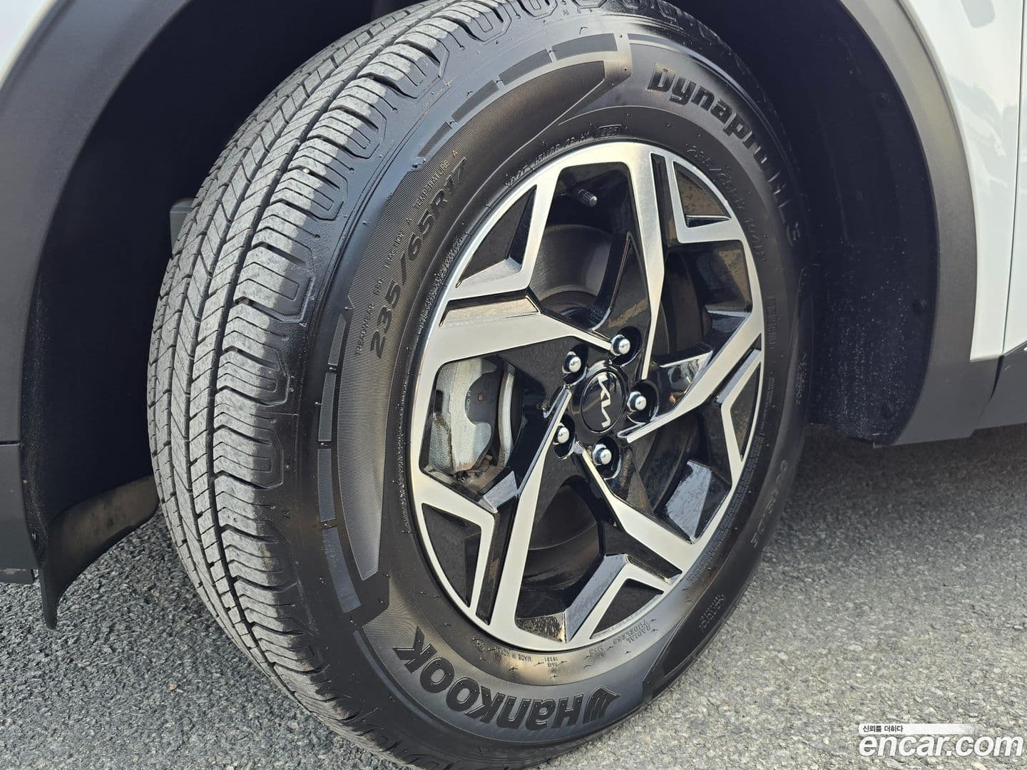 Main__Slider__Photo:Sportage Kia 2022.11-18