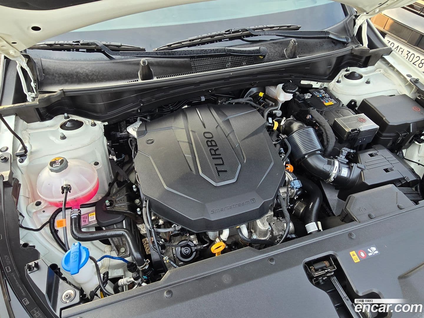 Main__Slider__Photo:Sportage Kia 2022.11-19