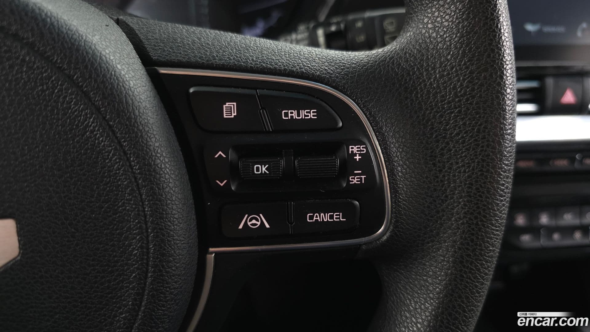 Main__Slider__Photo:Niro Kia 2021.8-17