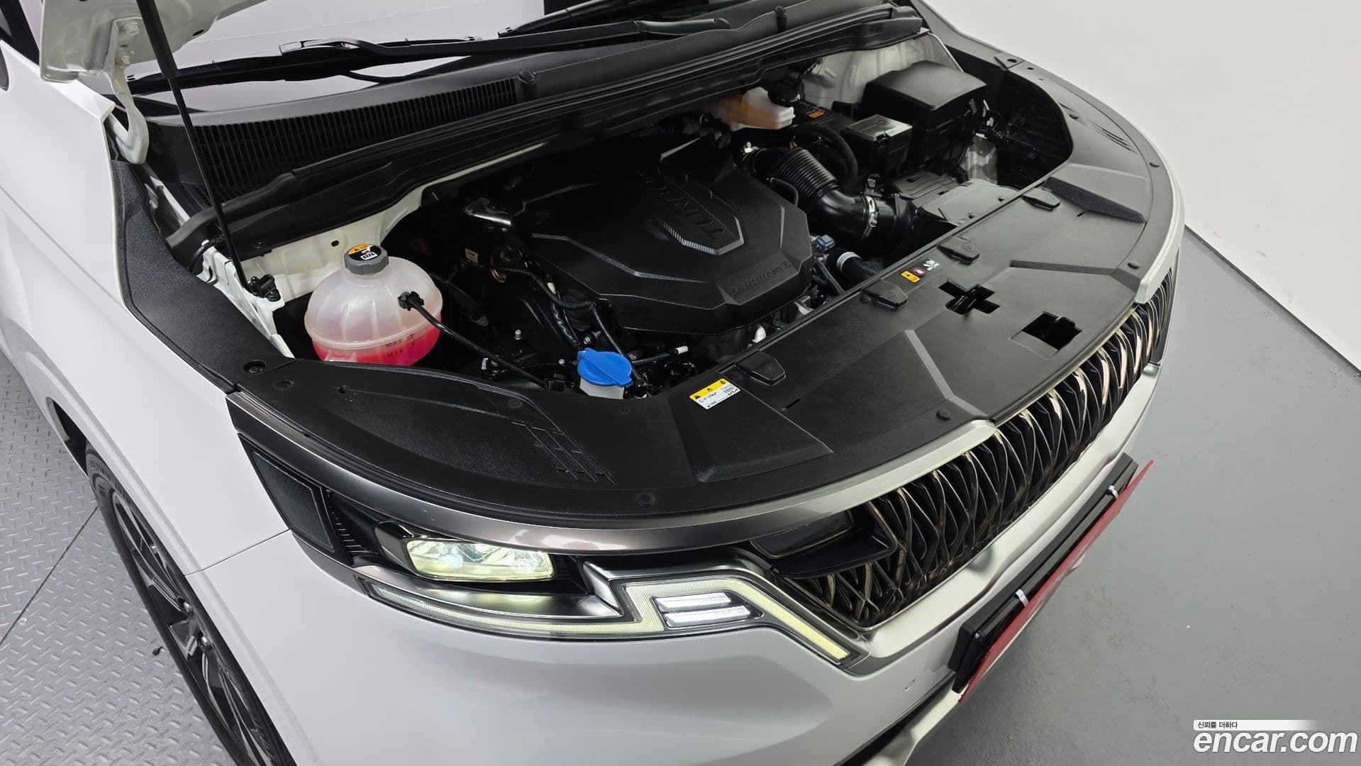 Main__Slider__Photo:Canival Kia 2022.6-5