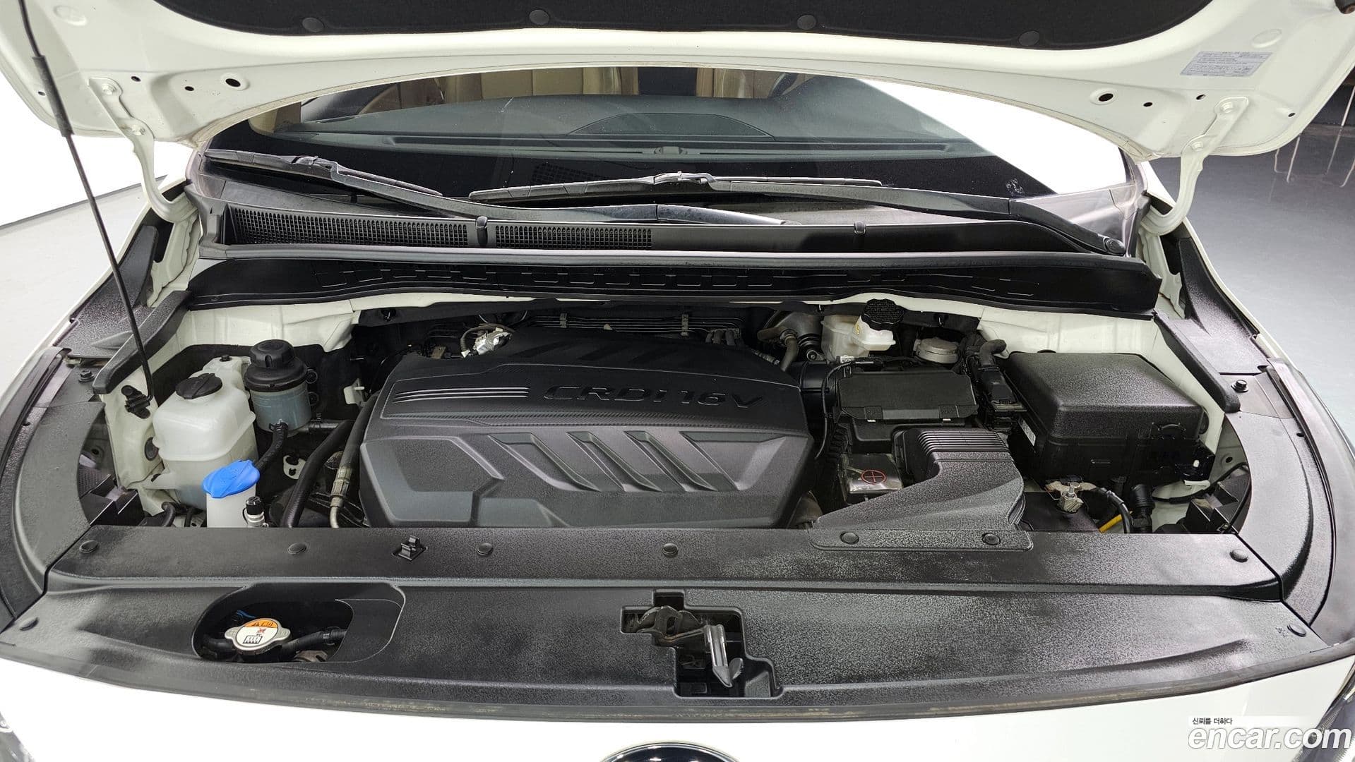 Main__Slider__Photo:Canival Kia 2020.5-5