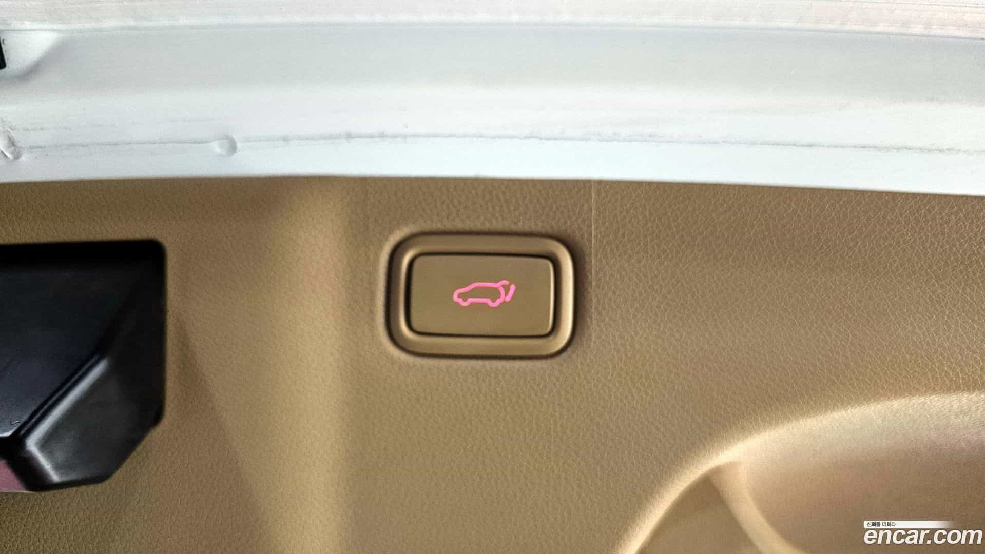 Canival Kia 2020.5-OPTION-021