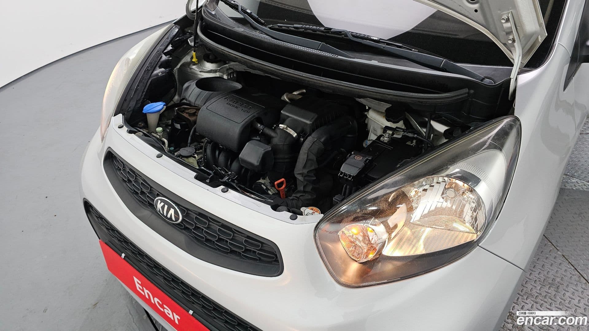 Main__Slider__Photo:morning Kia 2016.9-5