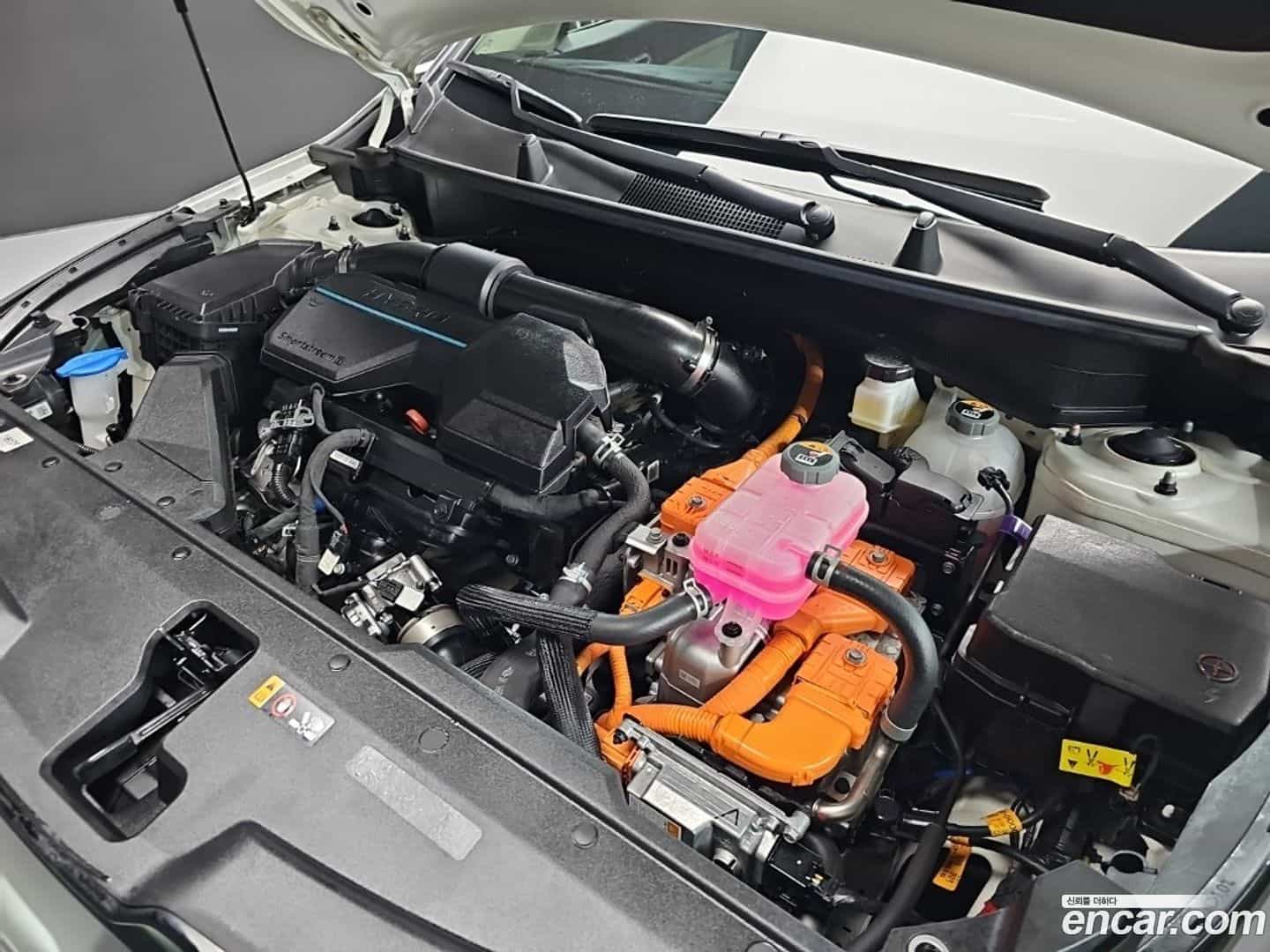 Sportage Kia 2023.3-OUTER-006