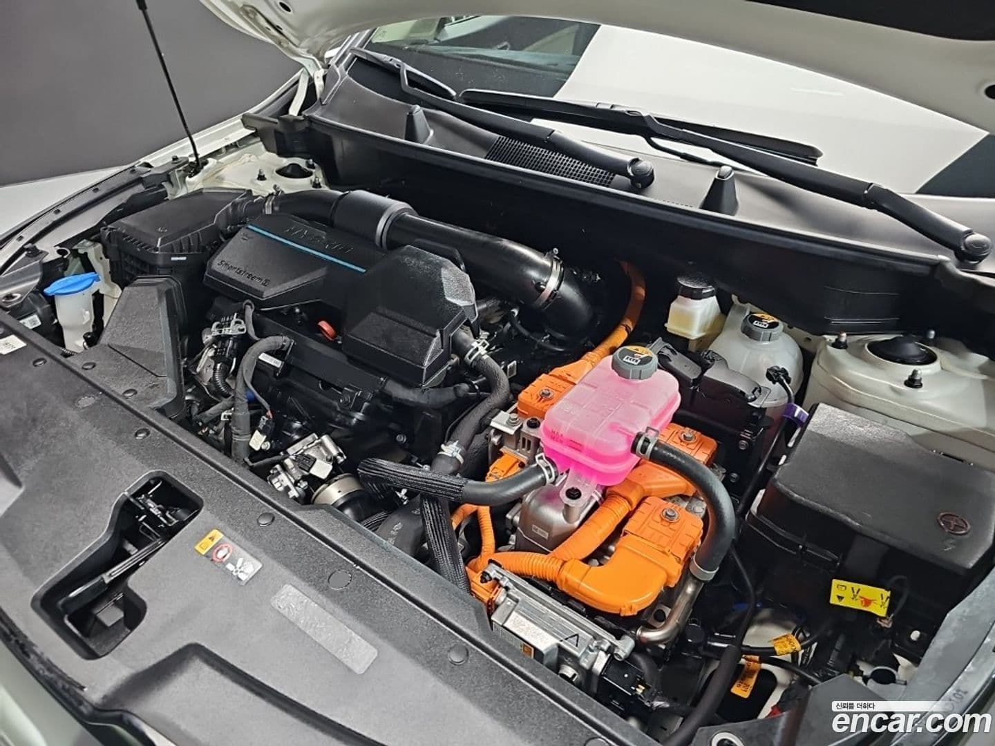 Main__Slider__Photo:Sportage Kia 2023.3-5