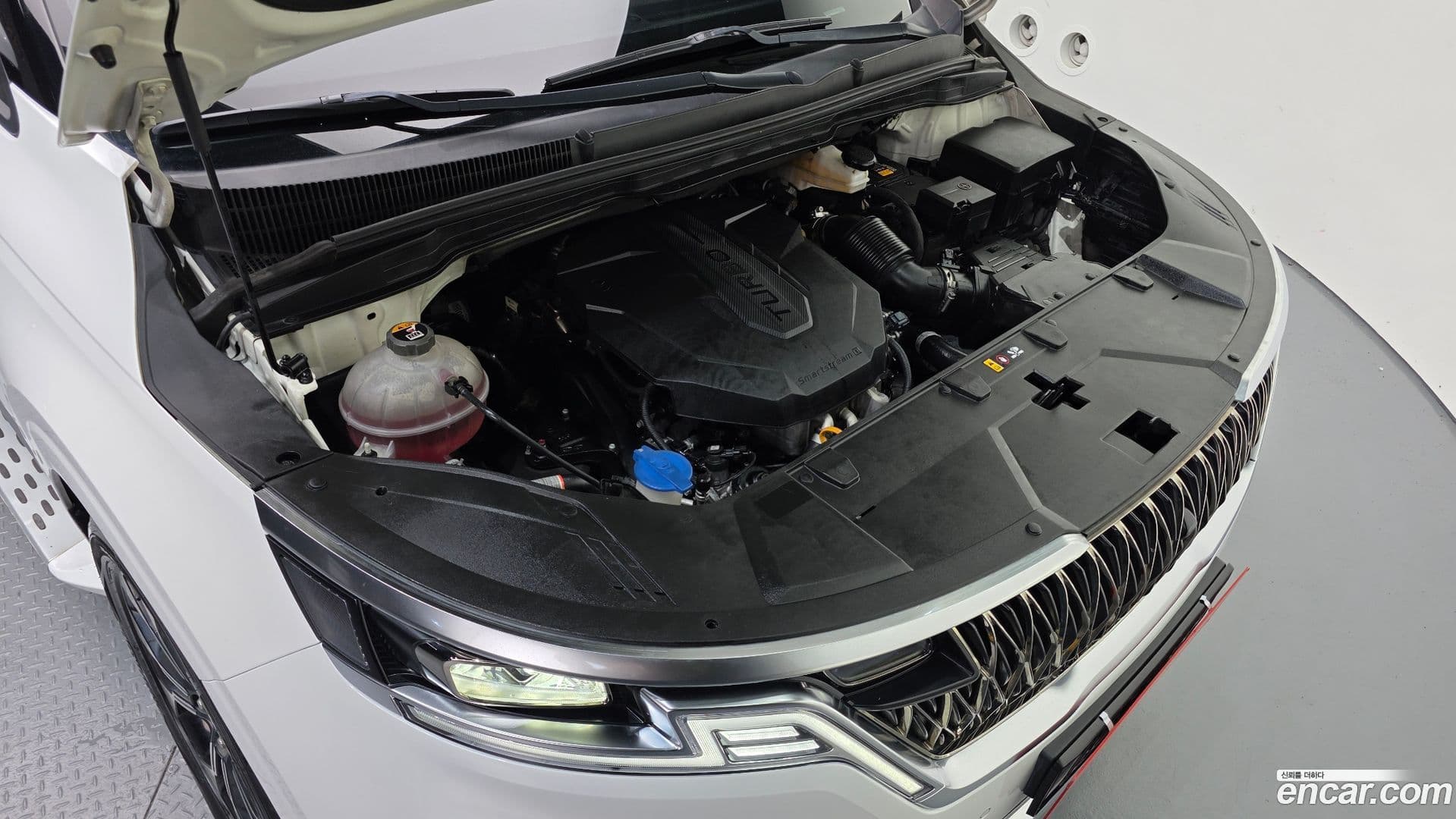 Main__Slider__Photo:Canival Kia 2021.1-5