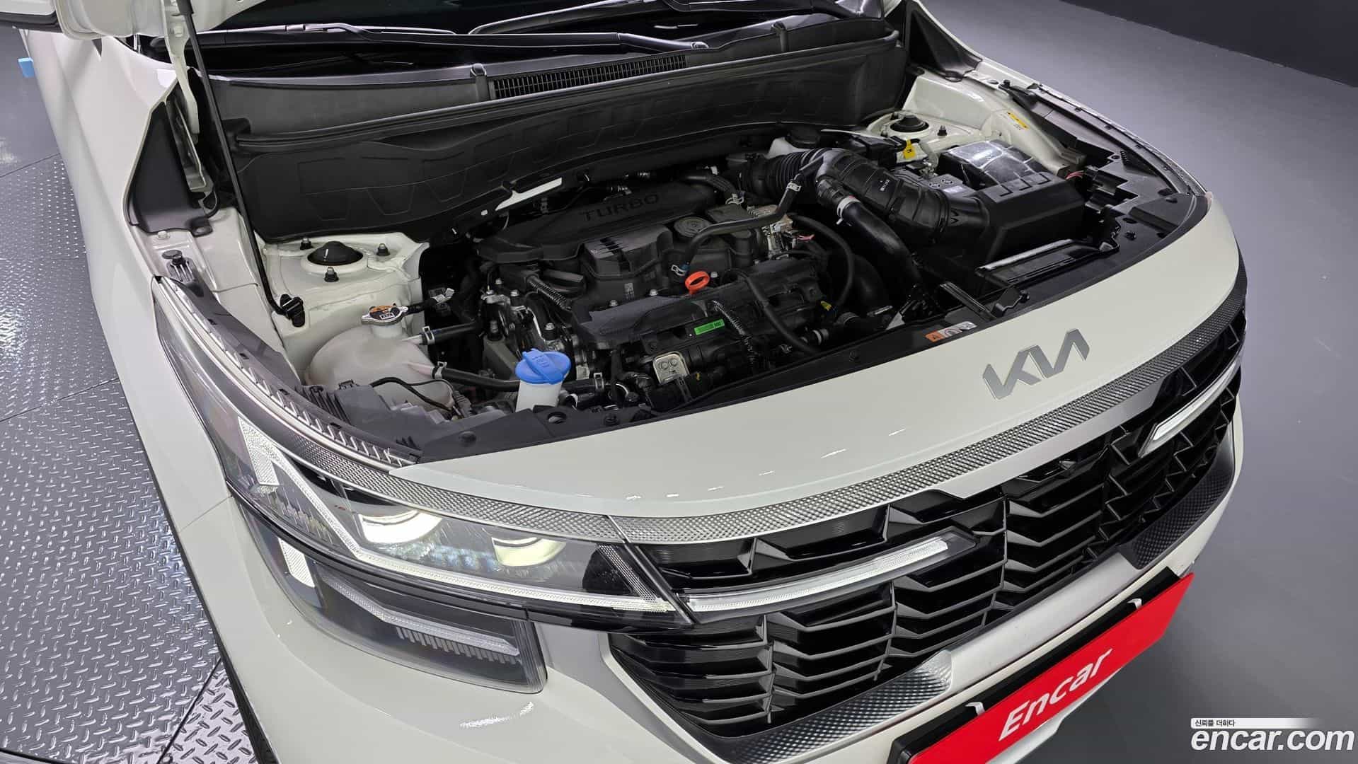 Seltos Kia 2025.6-OUTER-006