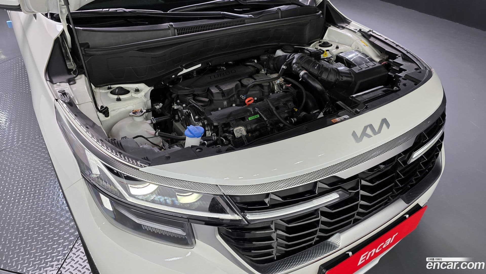 Main__Slider__Photo:Seltos Kia 2025.6-5