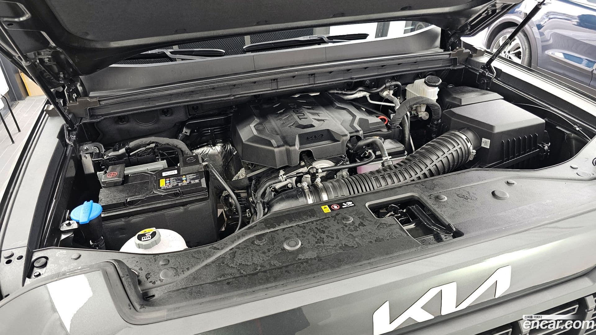 Main__Slider__Photo:Tasman Kia 2025.5-5