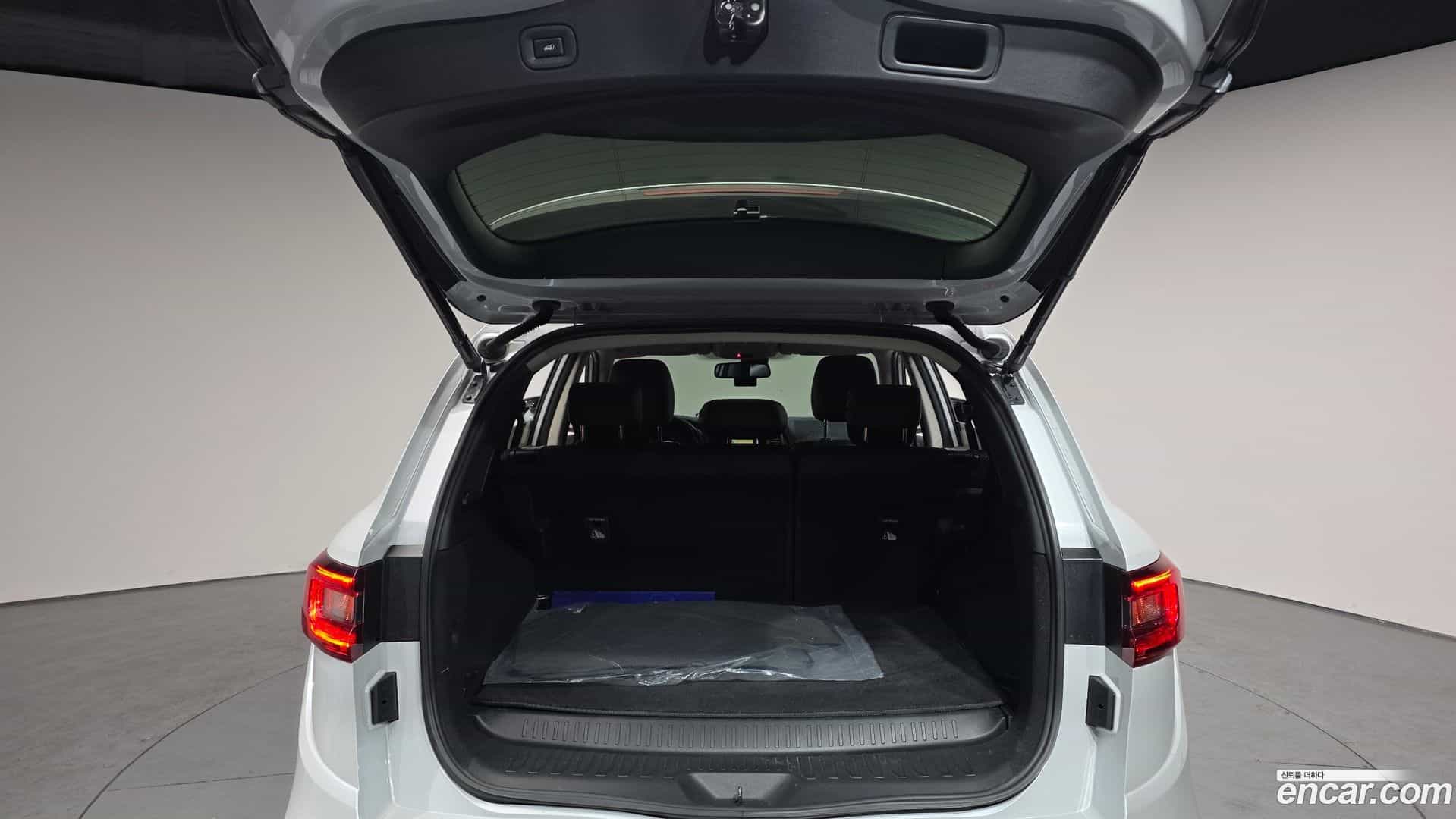 QM6 Renault-KoreaSamsung 2020.0-OPTION-024