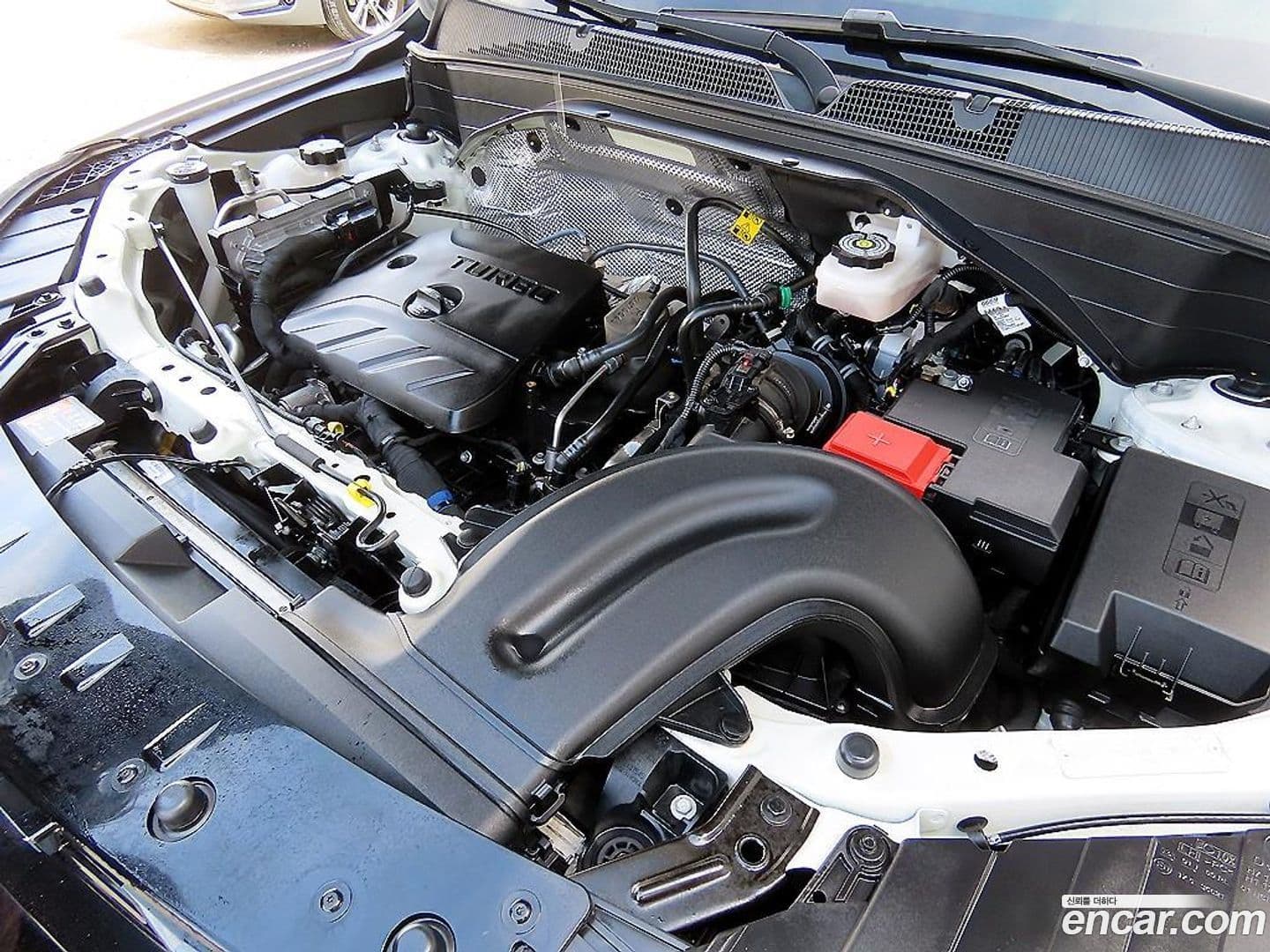 Main__Slider__Photo:Trailblazer ChevroletGMDaewoo 2022.6-17