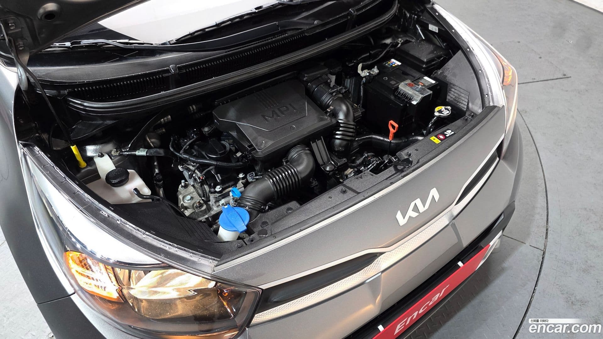 Main__Slider__Photo:morning Kia 2021.10-5