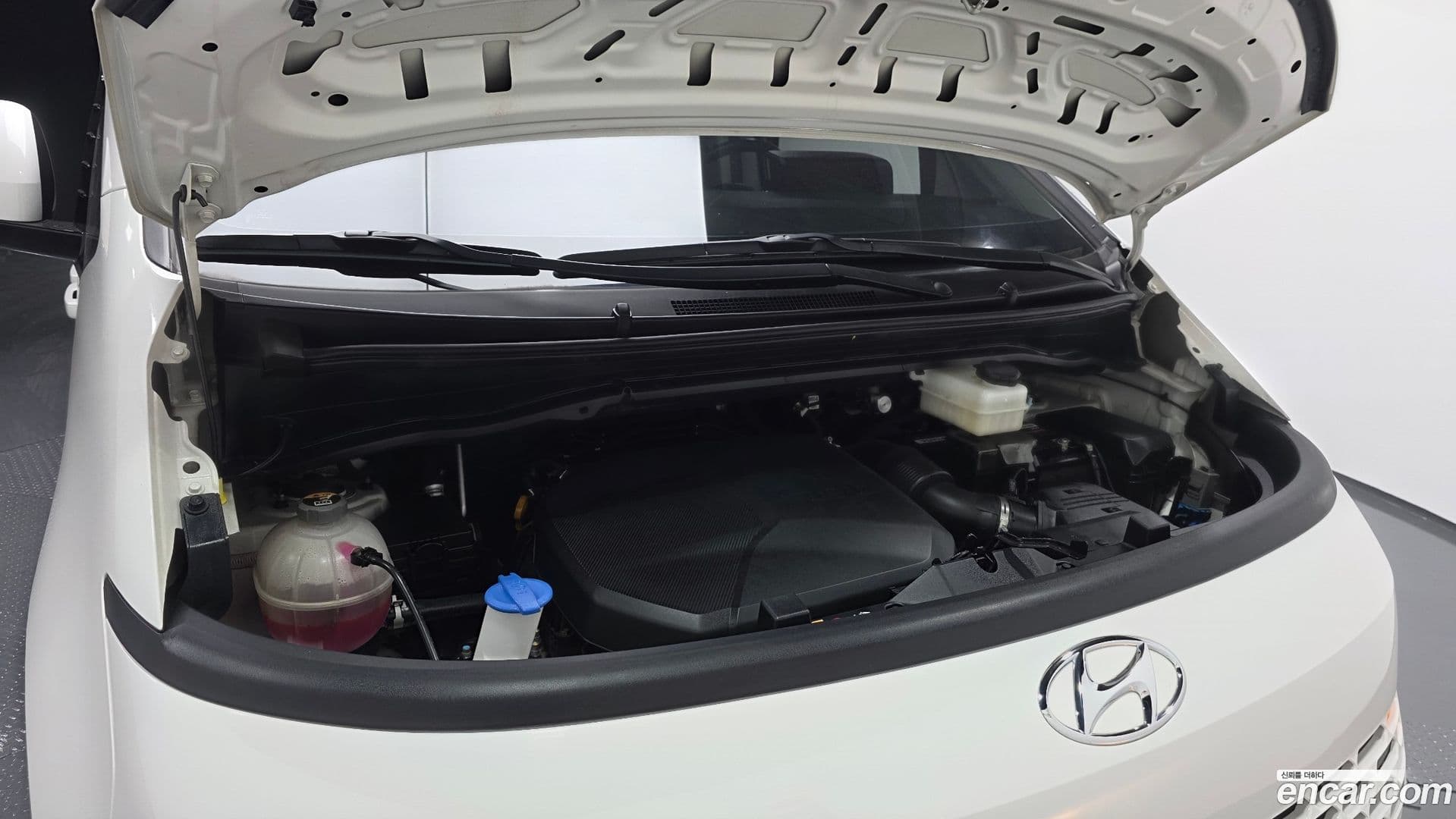 Main__Slider__Photo:Staria Hyundai 2021.11-5