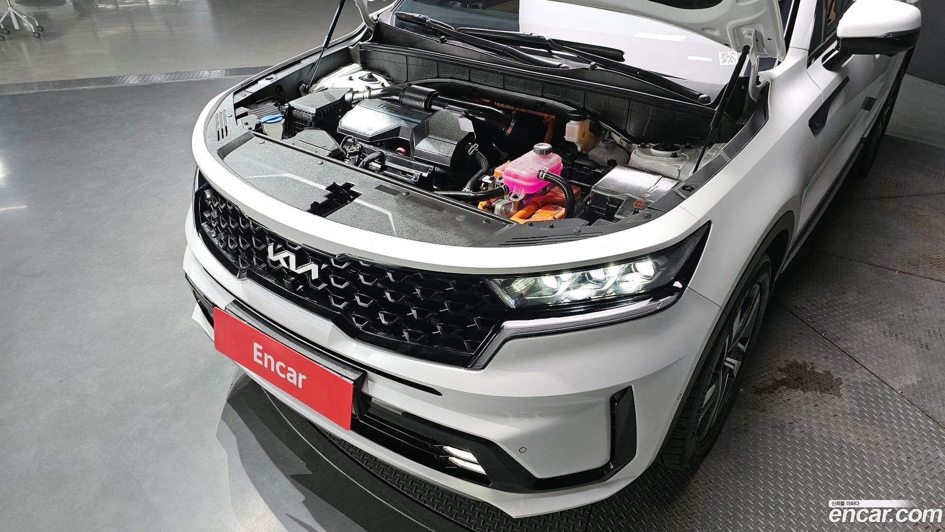 Main__Slider__Photo:Sorento Kia 2022.11-5