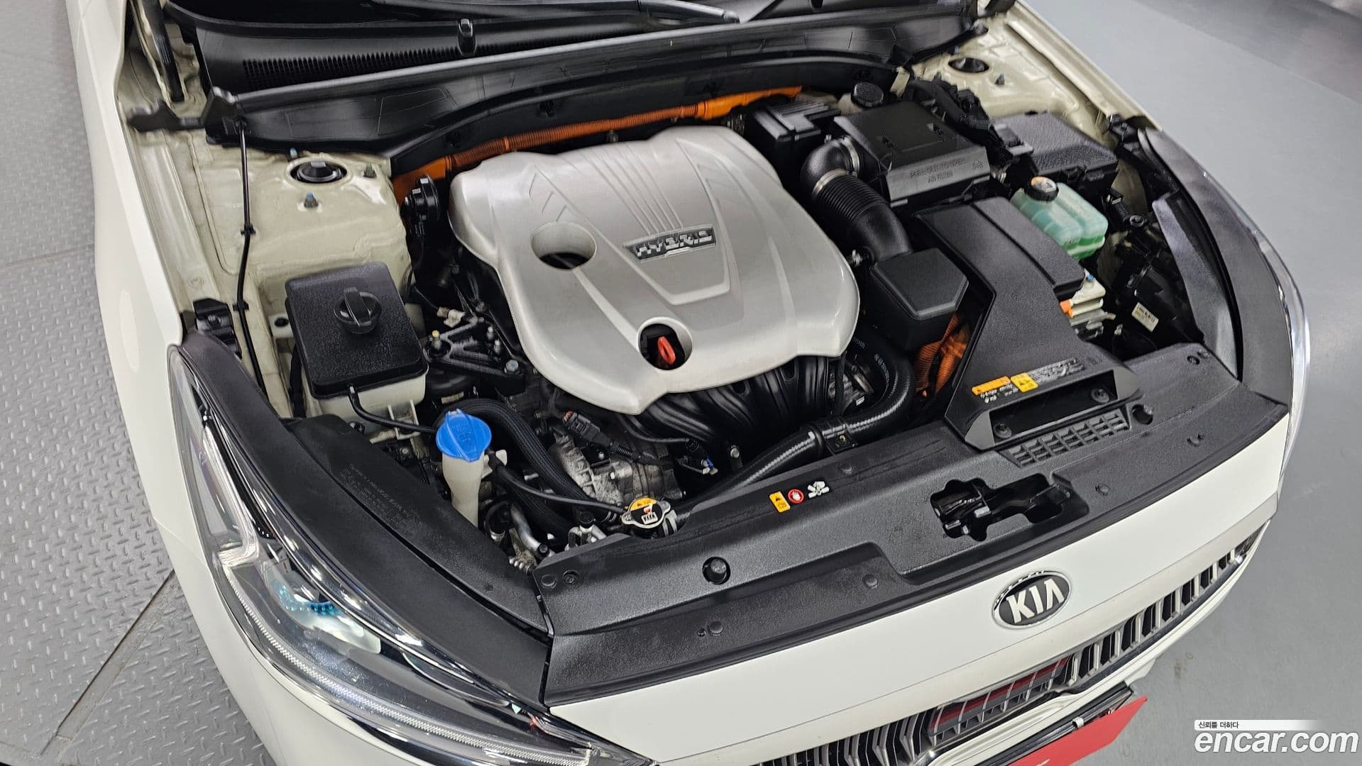 Main__Slider__Photo:K7 Kia 2017.4-5